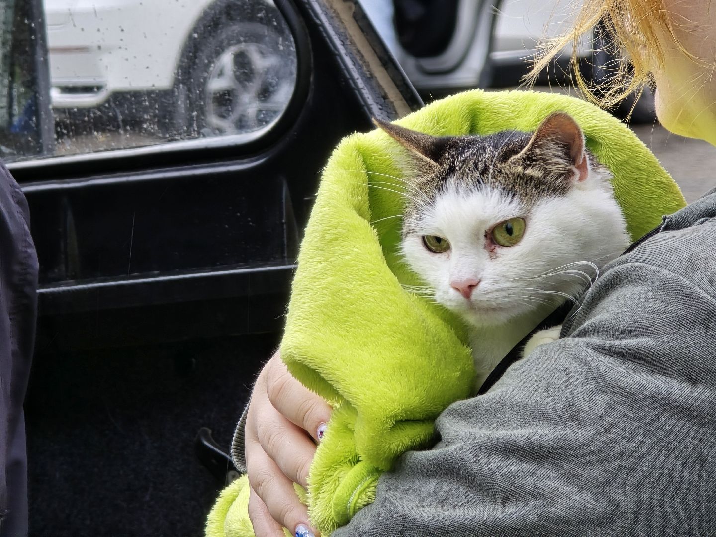 Коломна, вакцинация от бешенства, чипирование домашних животных,выездная вакцинация,