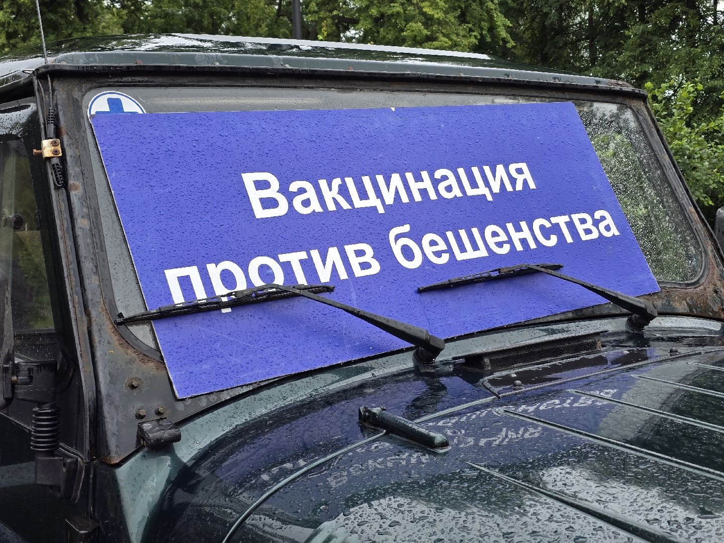 Коломна, вакцинация от бешенства, чипирование домашних животных,выездная вакцинация,