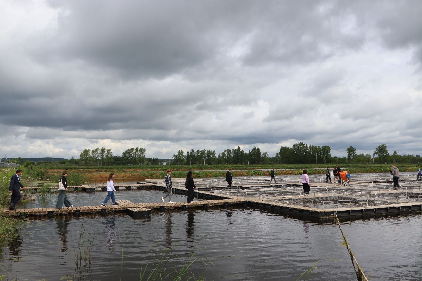 осетровое хозяйство в серебряных прудах, экскурсия, школьники, серебряные пруды,