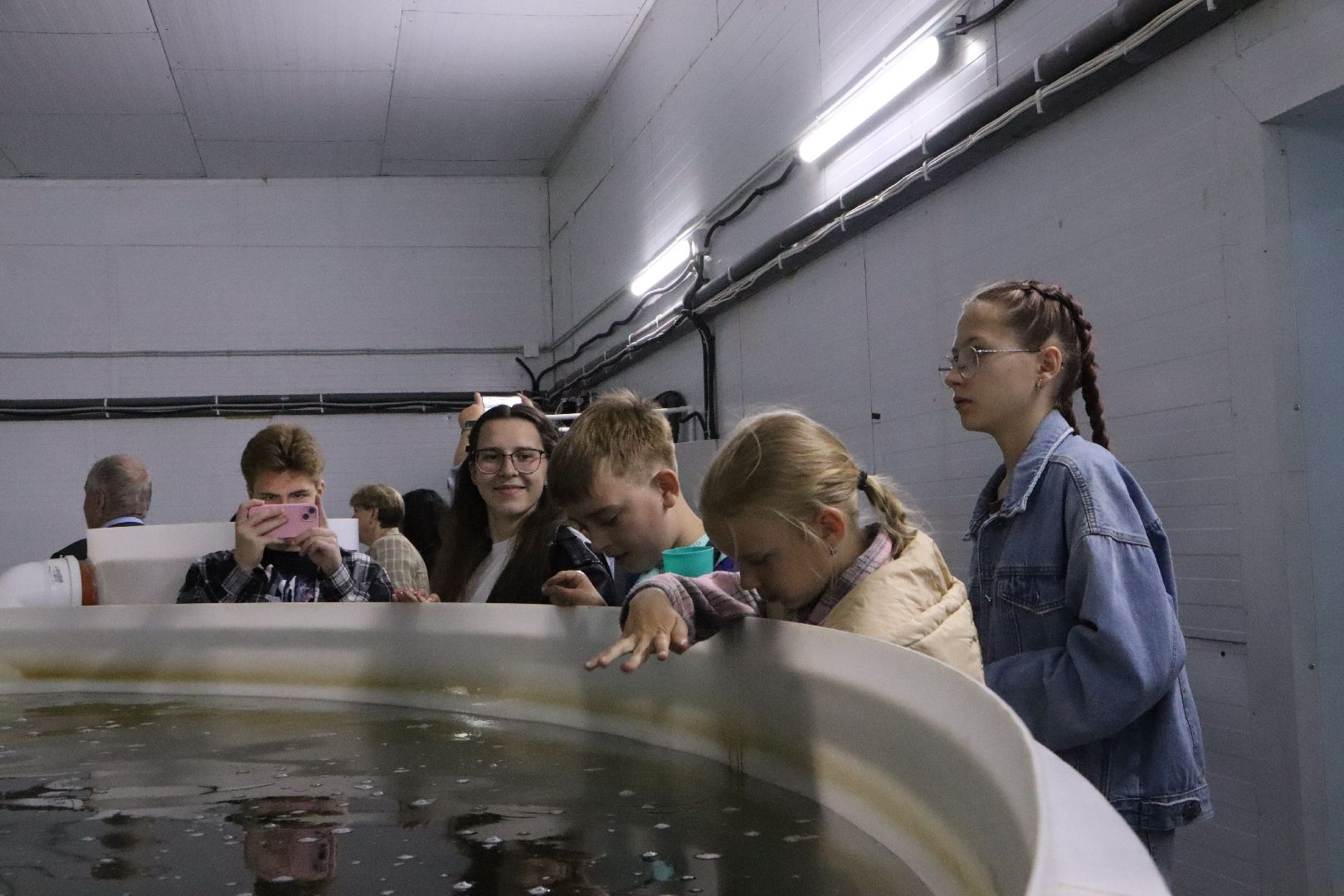 осетровое хозяйство в серебряных прудах, экскурсия, школьники, серебряные пруды,