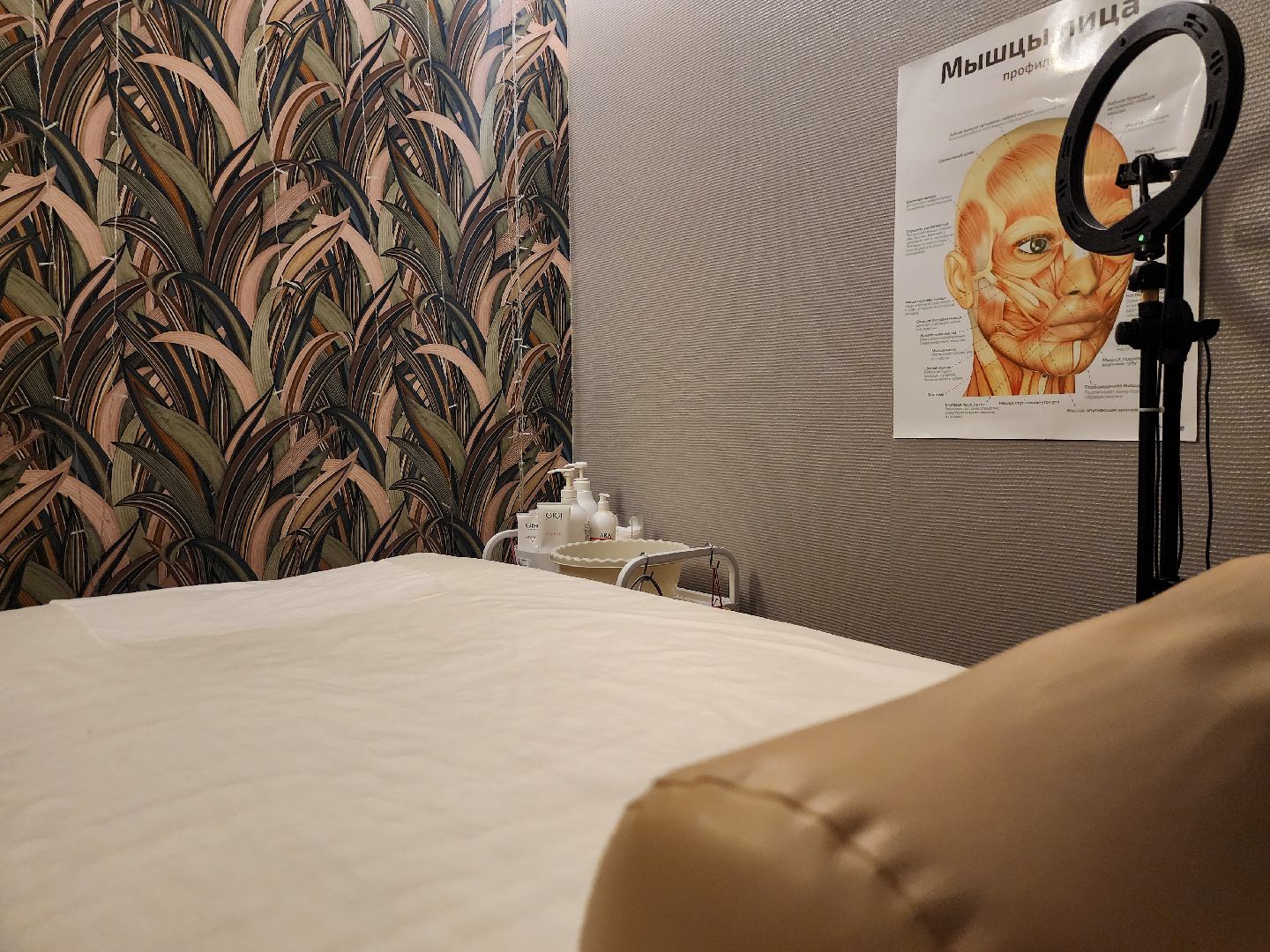 Подольск, кадровый центр подмосковья, Самозанятые, Открытие своего дела, поддержка бизнеса,