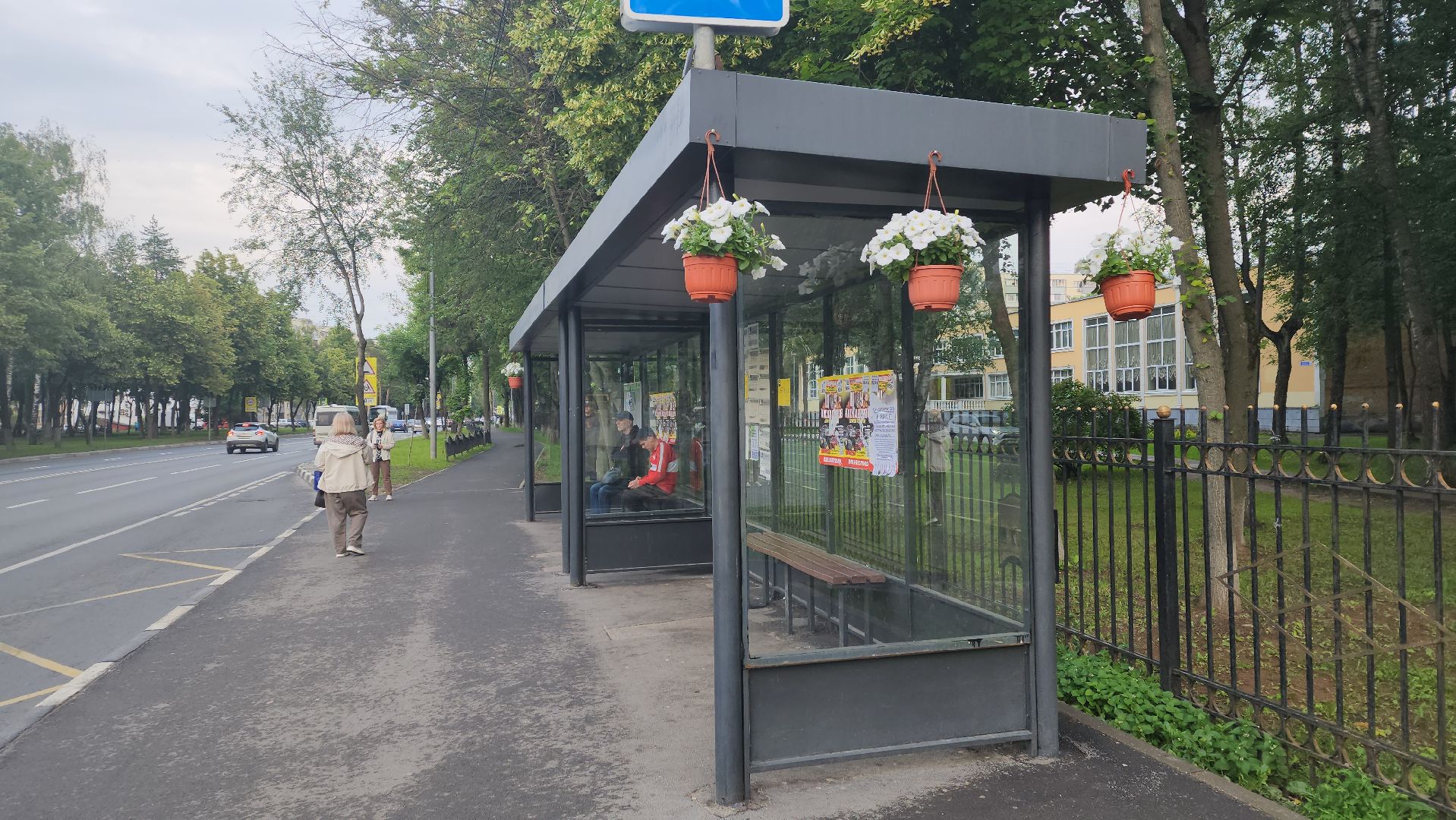 вертикалки, пушкино, цветы, остановки, общественный транспорт,благоустройство,кашпо,