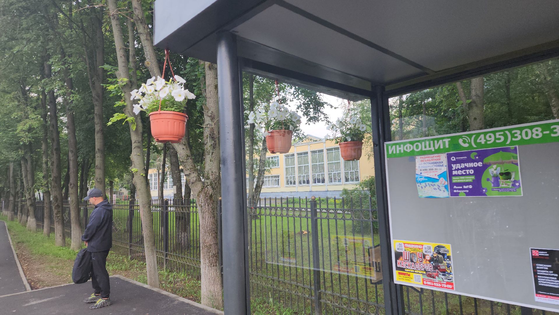 вертикалки, пушкино, цветы, остановки, общественный транспорт,благоустройство,кашпо,