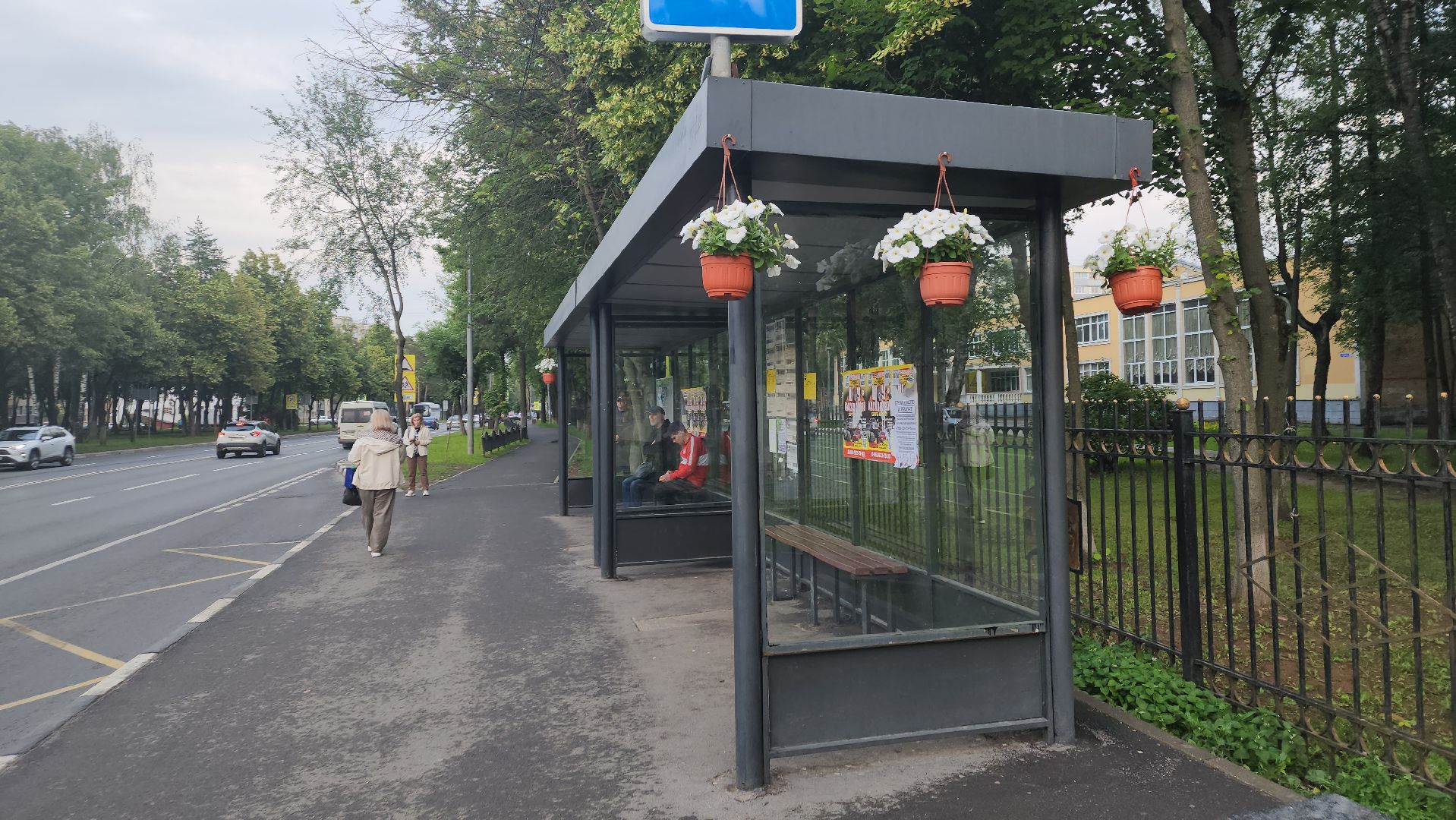 вертикалки, пушкино, цветы, остановки, общественный транспорт,благоустройство,кашпо,