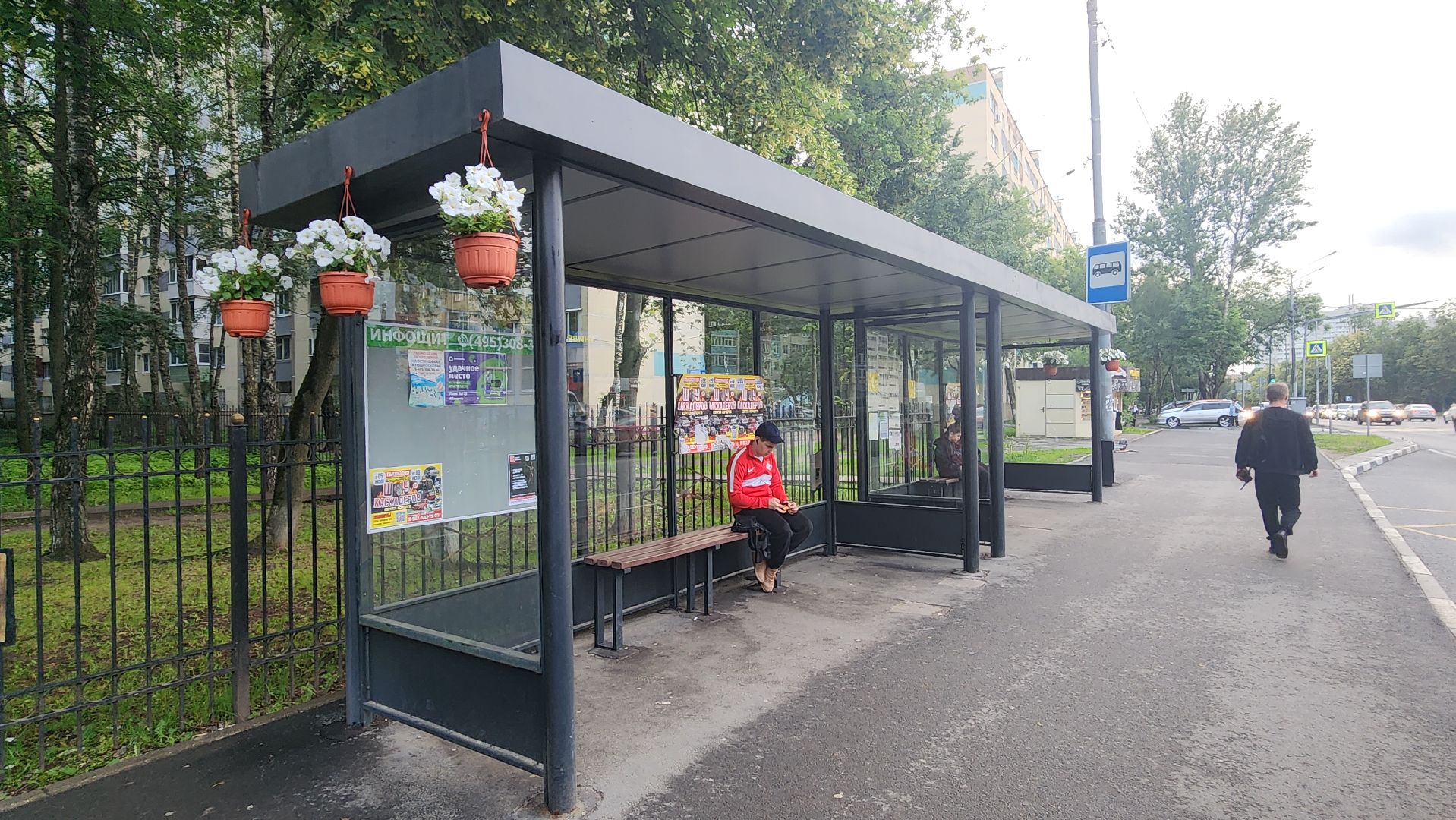 вертикалки, пушкино, цветы, остановки, общественный транспорт,благоустройство,кашпо,