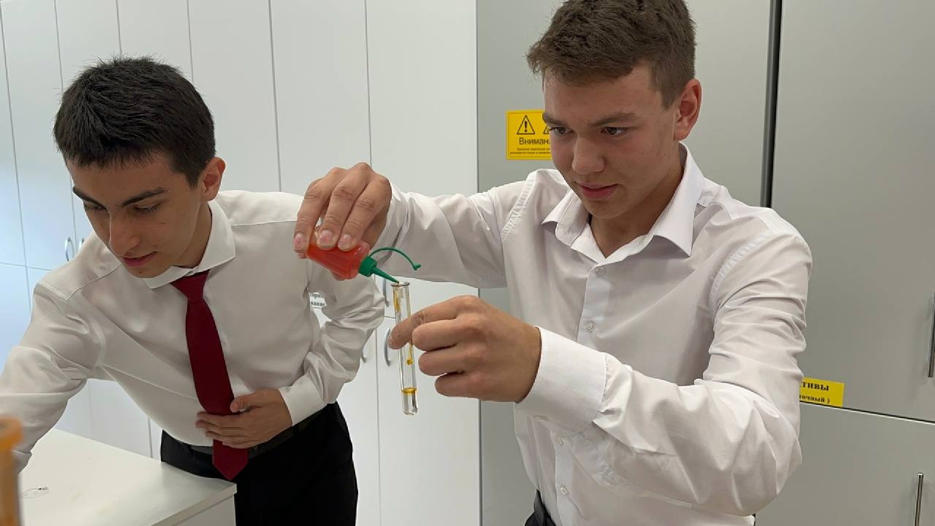 егэ, домодедово,