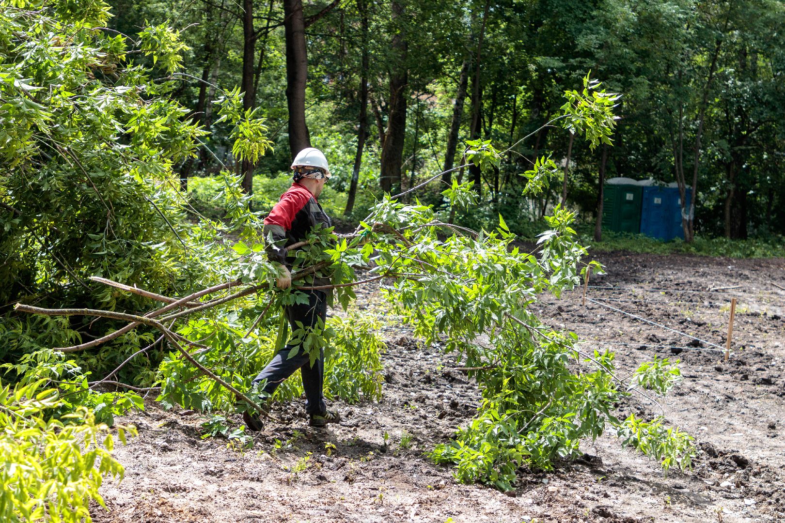 благоустройство, сквер чернышева, лыткарино, парки,