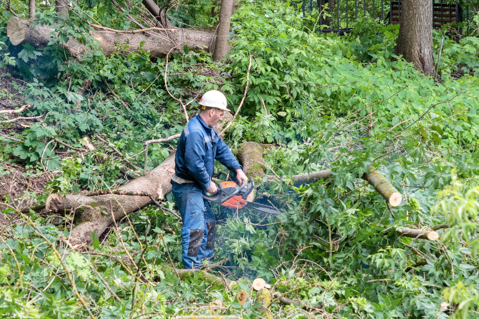 благоустройство, сквер чернышева, лыткарино, парки,