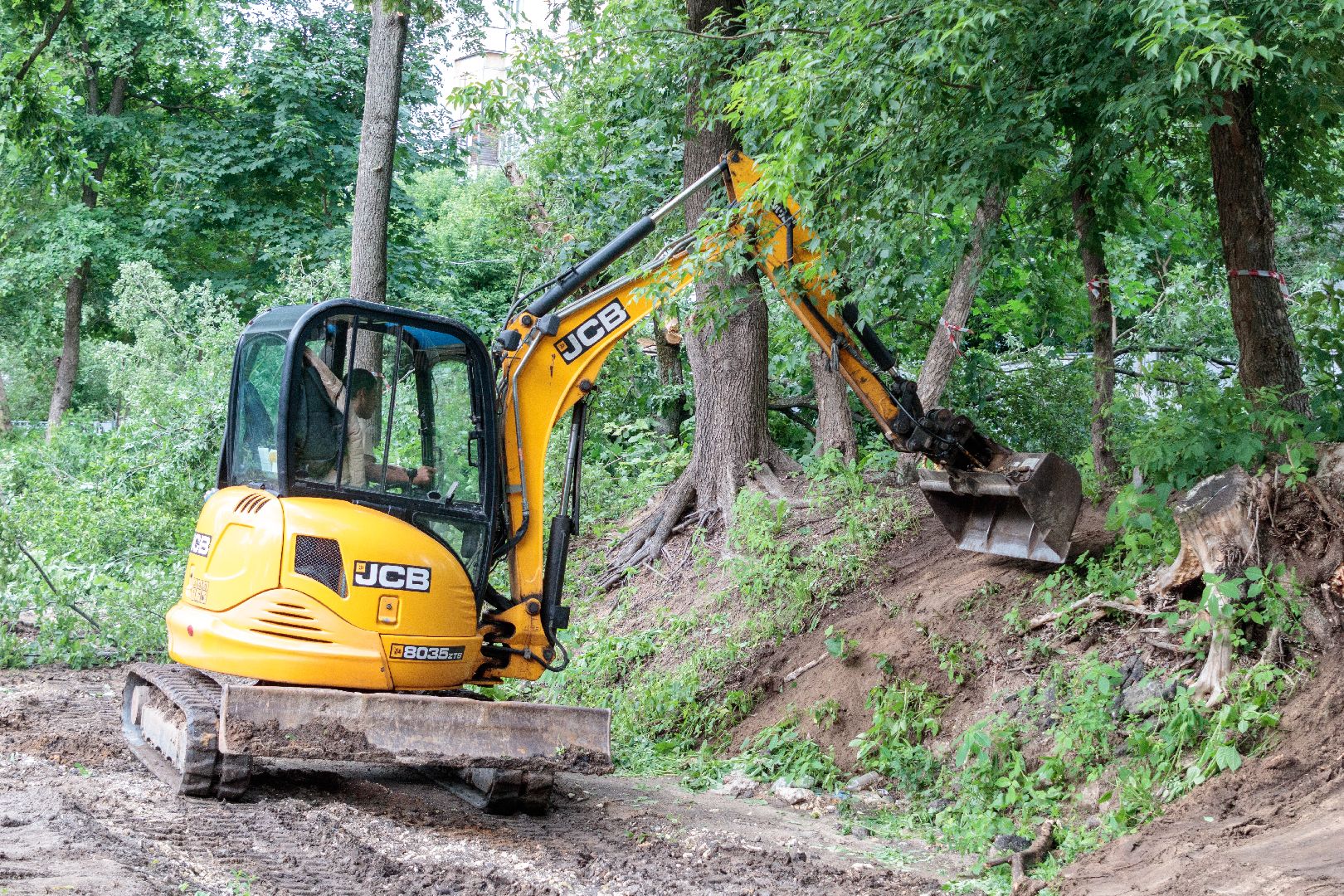 благоустройство, сквер чернышева, лыткарино, парки,