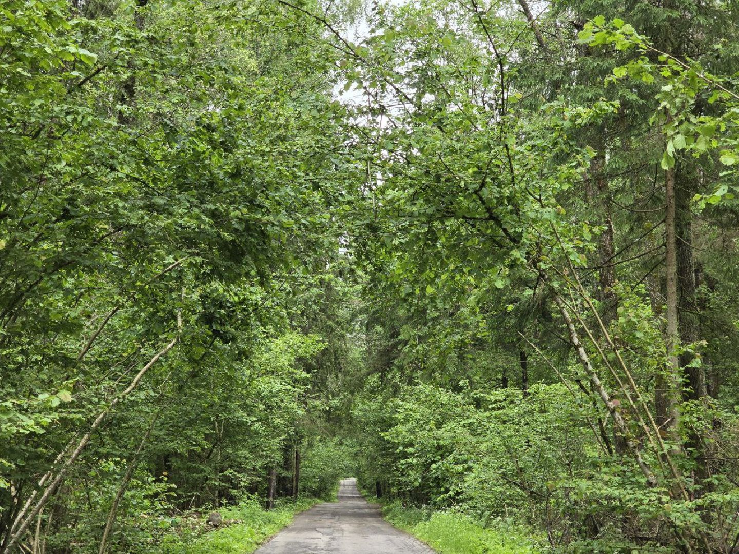 можайск, можайский муниципальный округ,  подмосковье, выездная администрация , встреча с жителями, обращения граждан, власть,