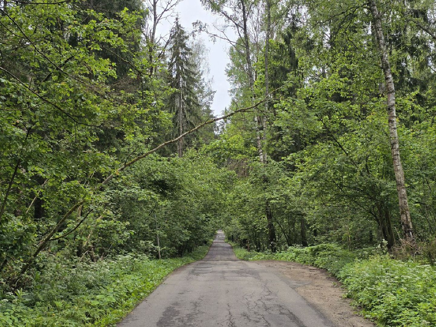 можайск, можайский муниципальный округ,  подмосковье, выездная администрация , встреча с жителями, обращения граждан, власть,
