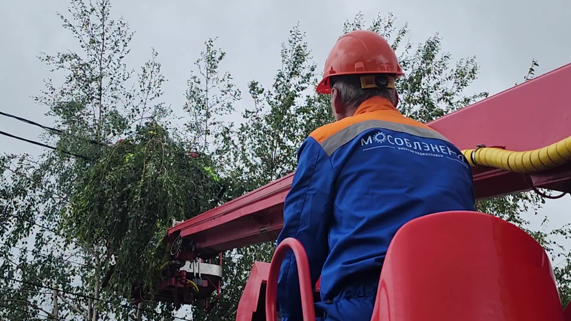 /mediabank_mount//74073/66cc8a194ac09f1f22352ff430b91d06.jpg