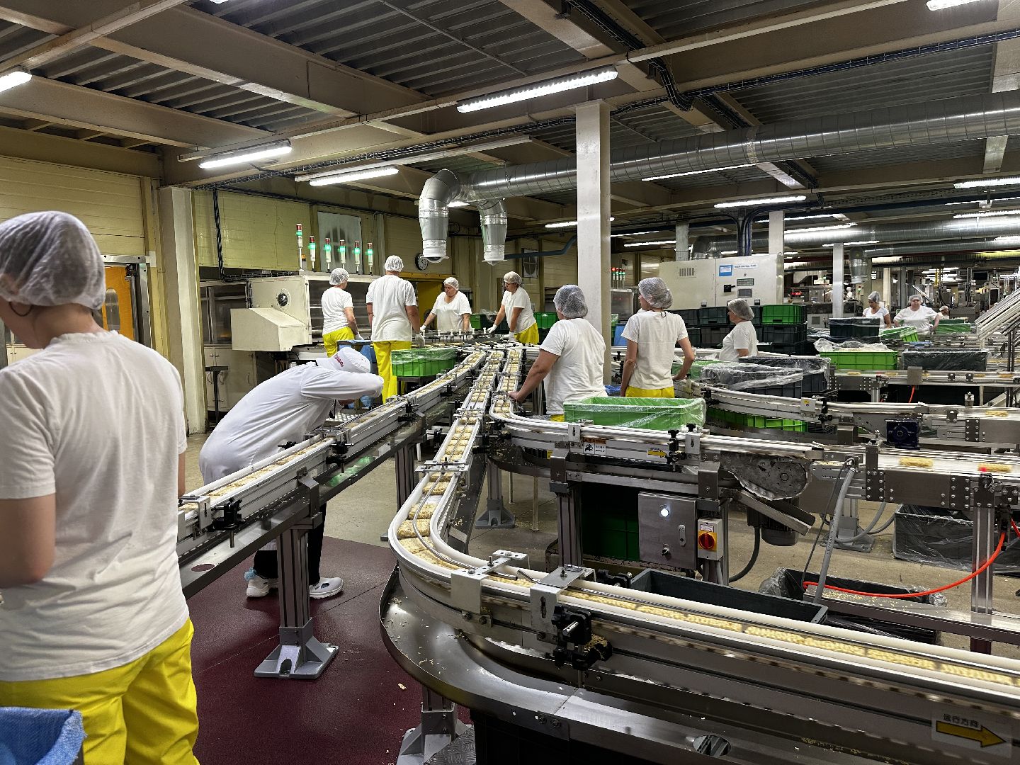 серпухов, северное шоссе, производство пищевых продуктов, роботы, Маревен Фуд Сэнтрал, завод сублимированных продуктов,