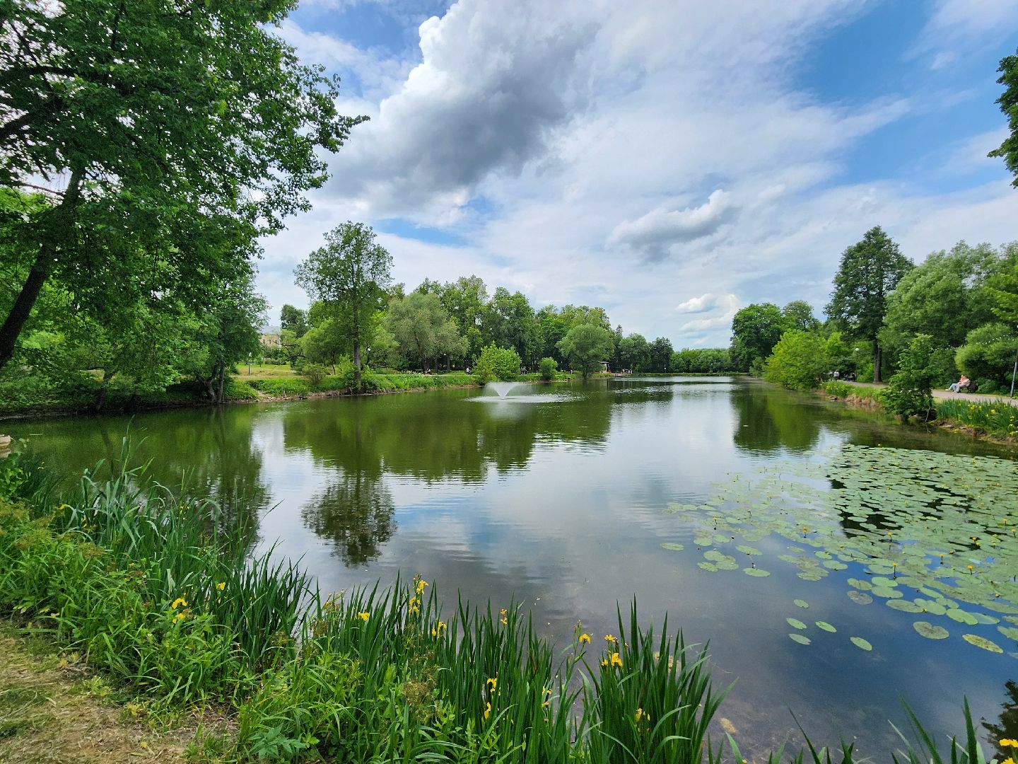 чехов, улица пушкина, парк культуры и отдыха, реконструкция, благоустройство, тропинки, спортивные площадки, парковка, кафе, госпрограмма московской области, формирование комфортной городской среды,