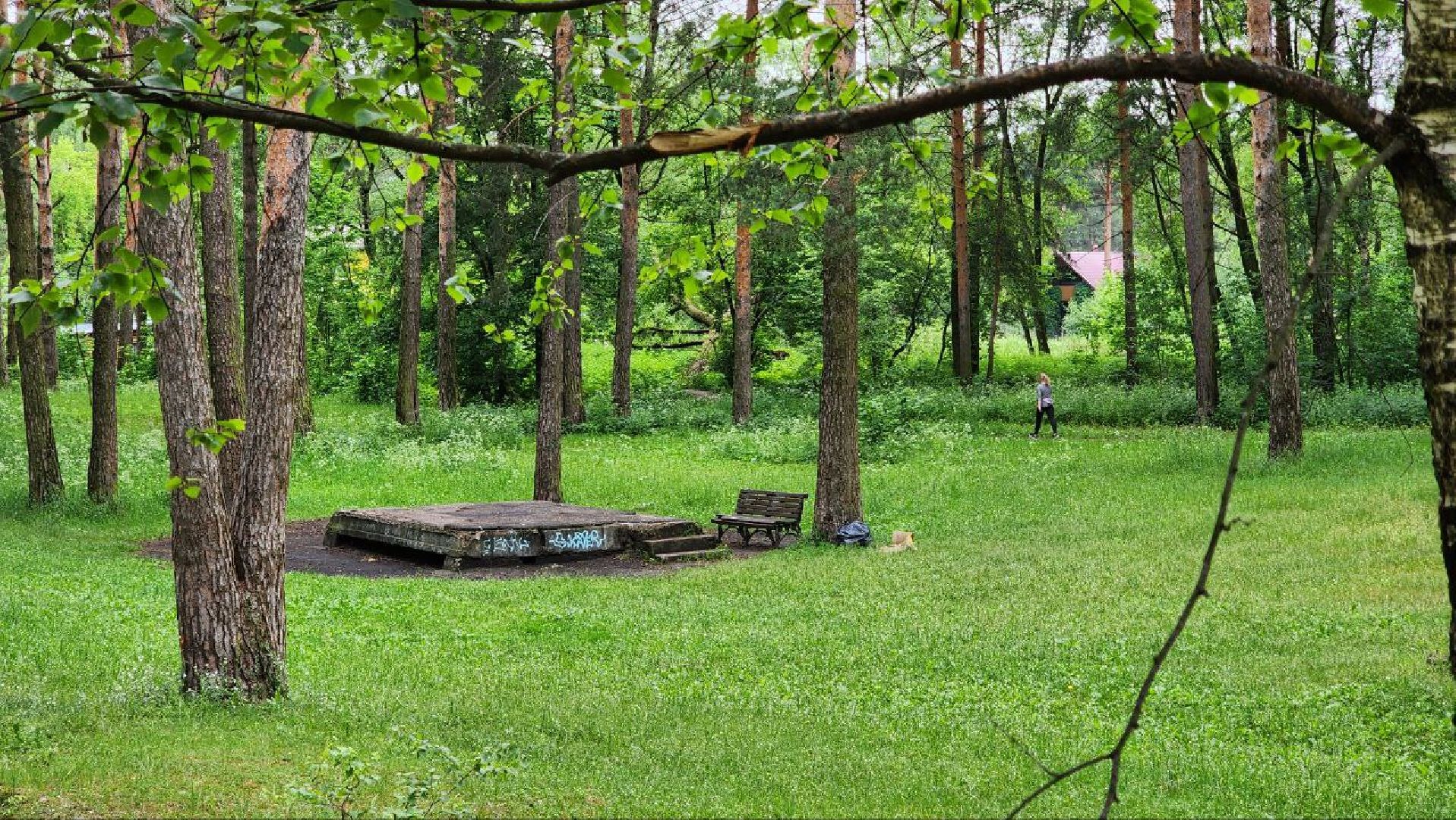 Дмитров, Парк Сосновый бор, ДЗФС, Минблаго,