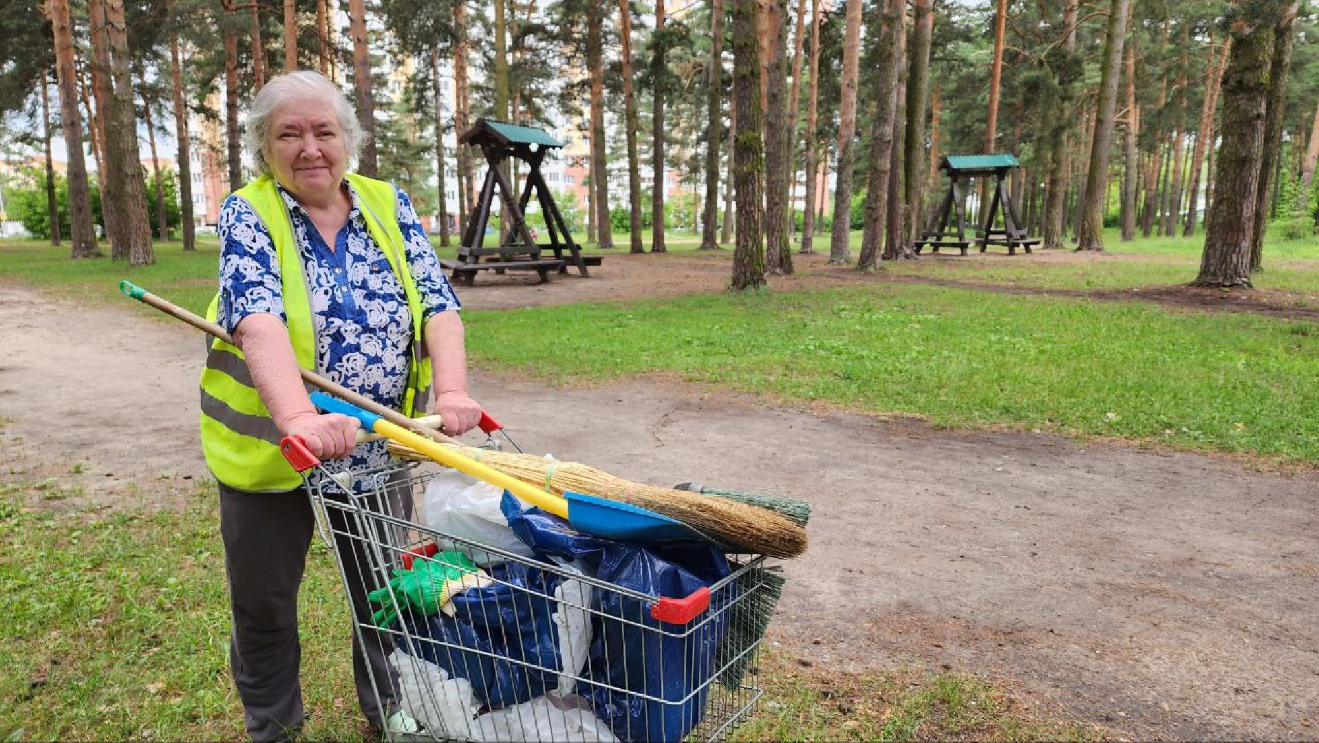 Дмитров, Парк Сосновый бор, ДЗФС, Минблаго,