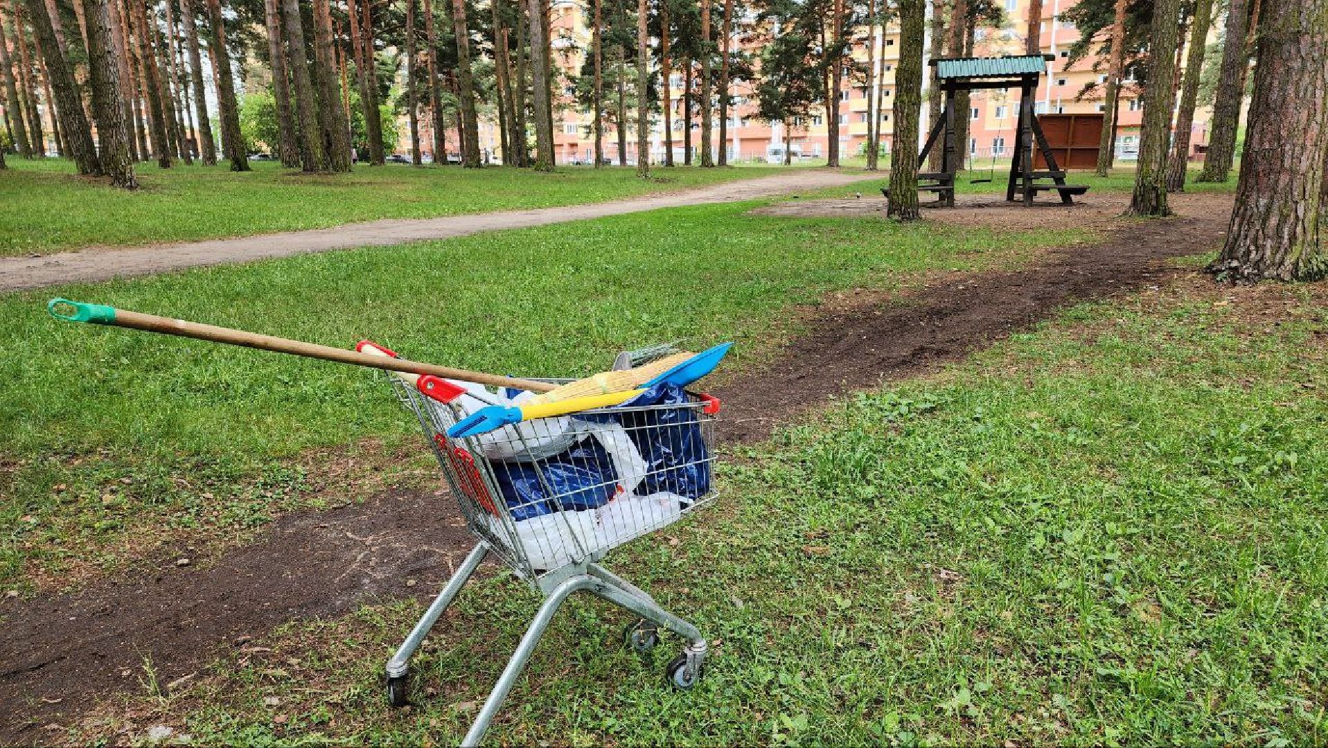 Дмитров, Парк Сосновый бор, ДЗФС, Минблаго,