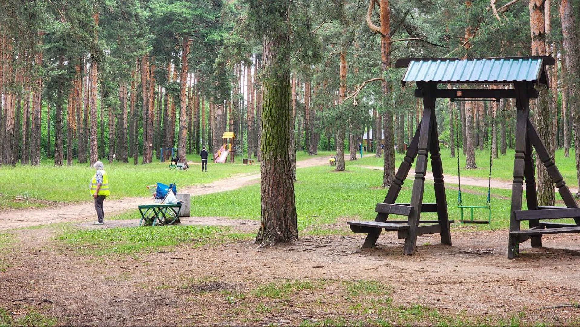 Дмитров, Парк Сосновый бор, ДЗФС, Минблаго,