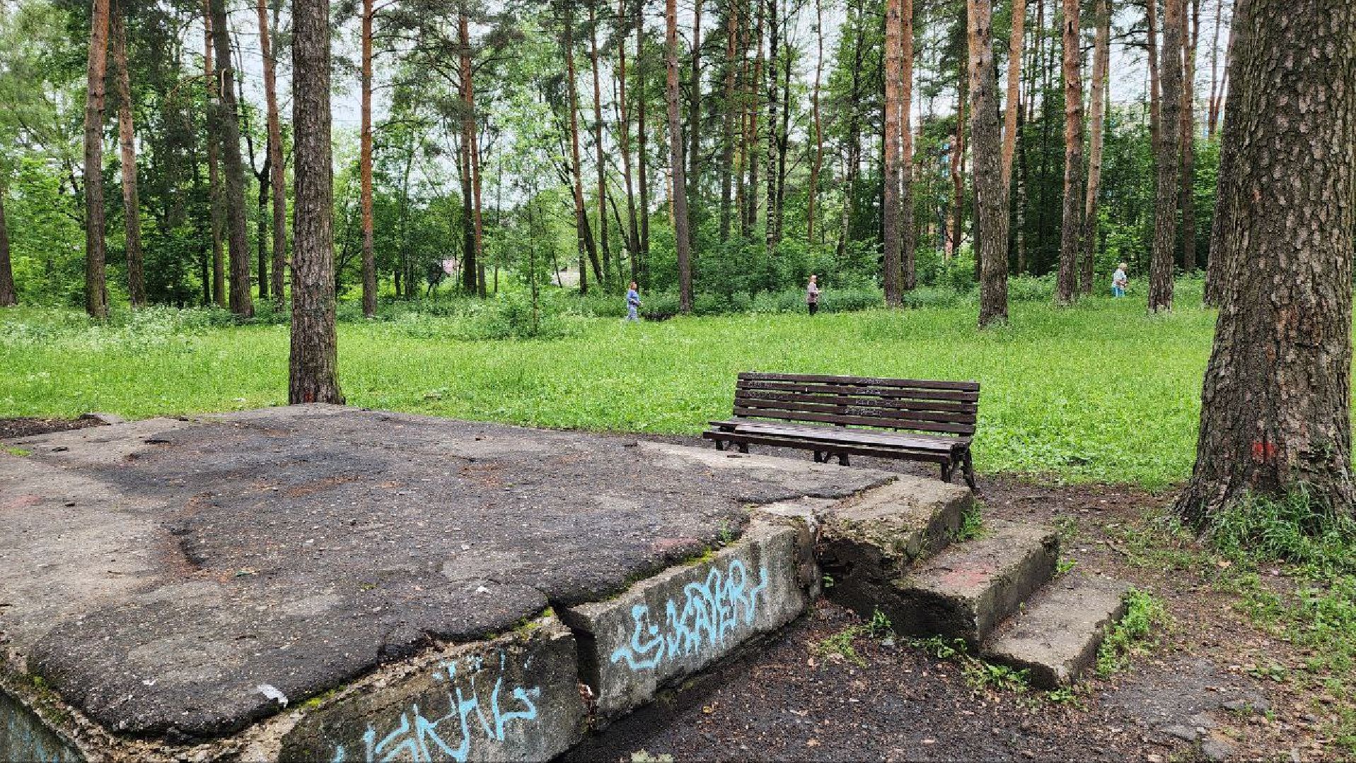 Дмитров, Парк Сосновый бор, ДЗФС, Минблаго,