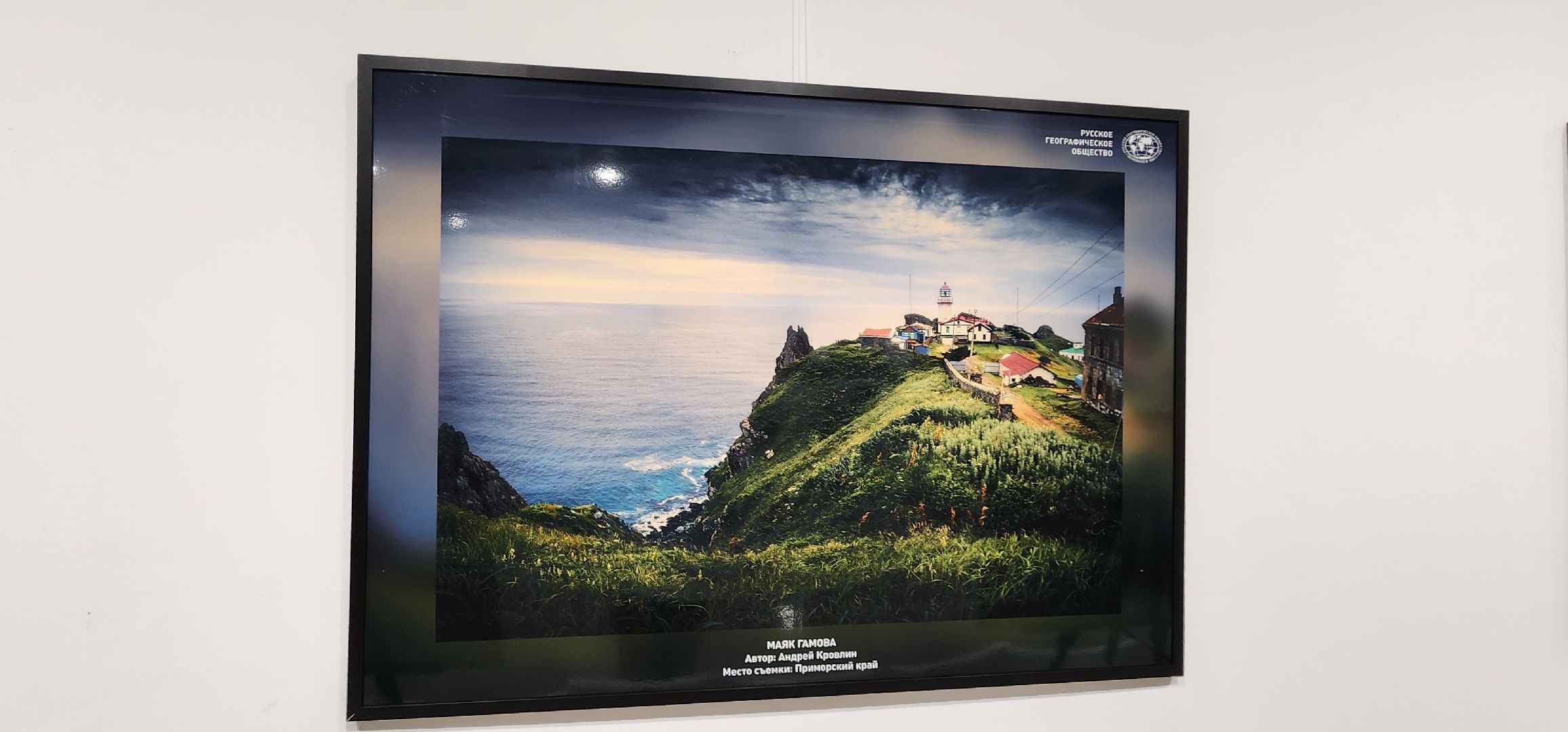 Химки, культура, Искусство , Фотография ,