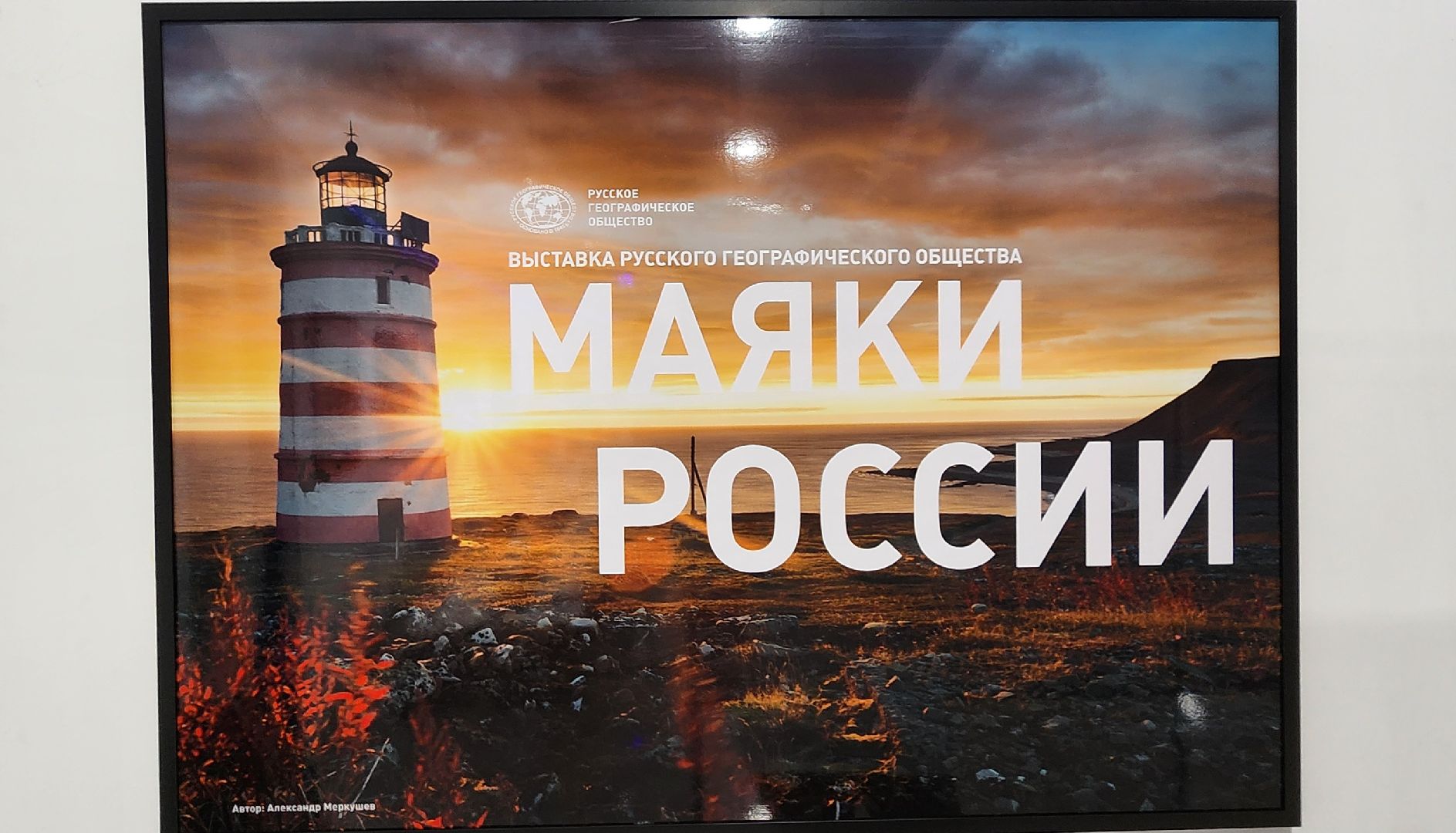 Химки, культура, Искусство , Фотография ,