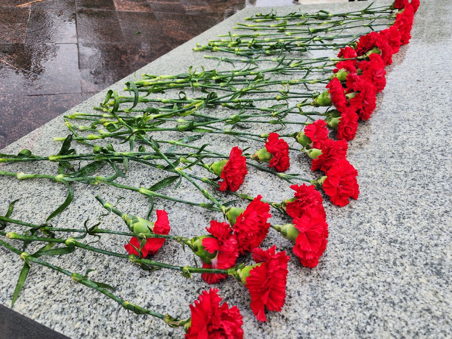 фрязино, день памяти и скорби, возложение цветов, митинг памяти,