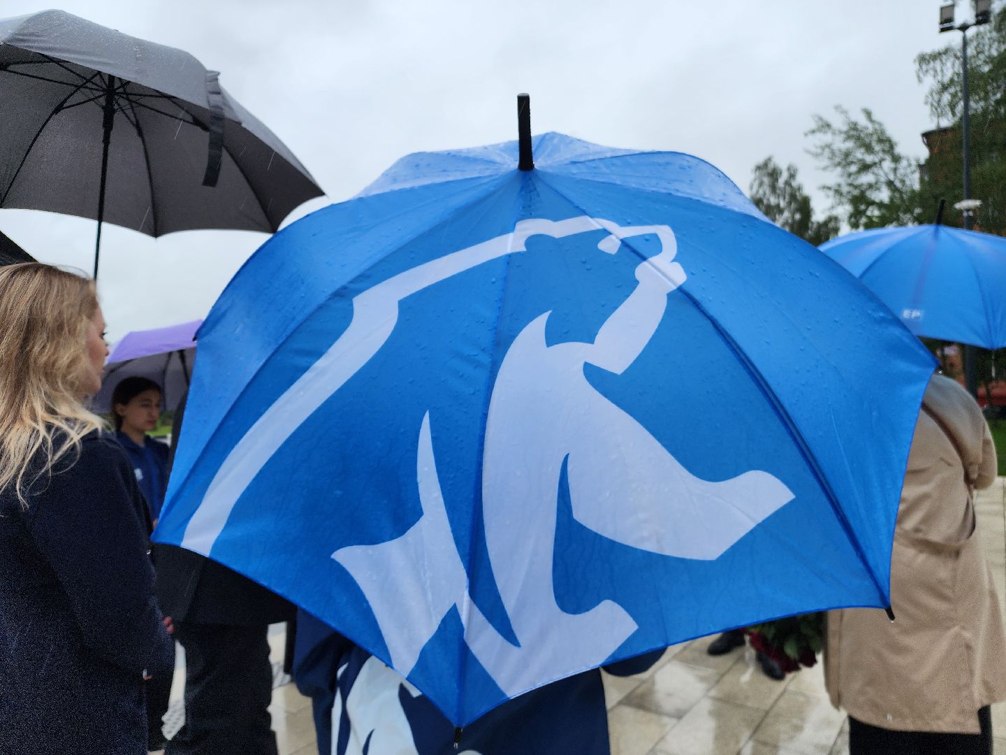 фрязино, день памяти и скорби, возложение цветов, митинг памяти,