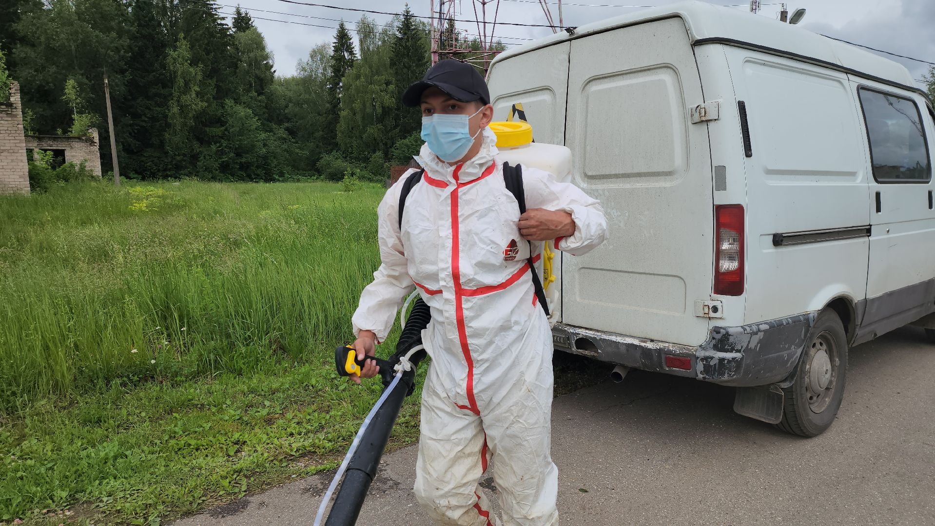 Руза, Барынино, борщевик сосновского,