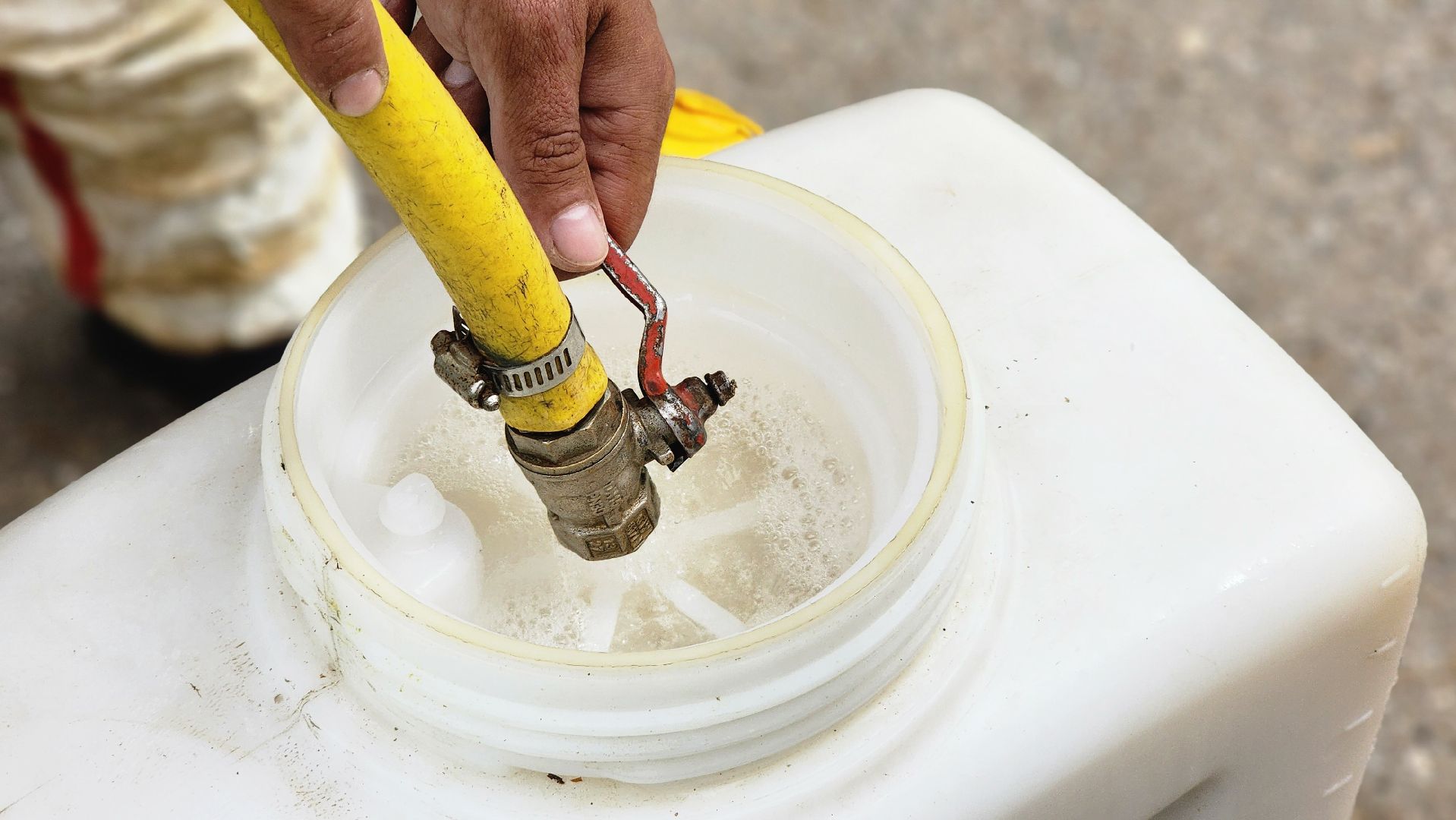 Руза, Барынино, борщевик сосновского,