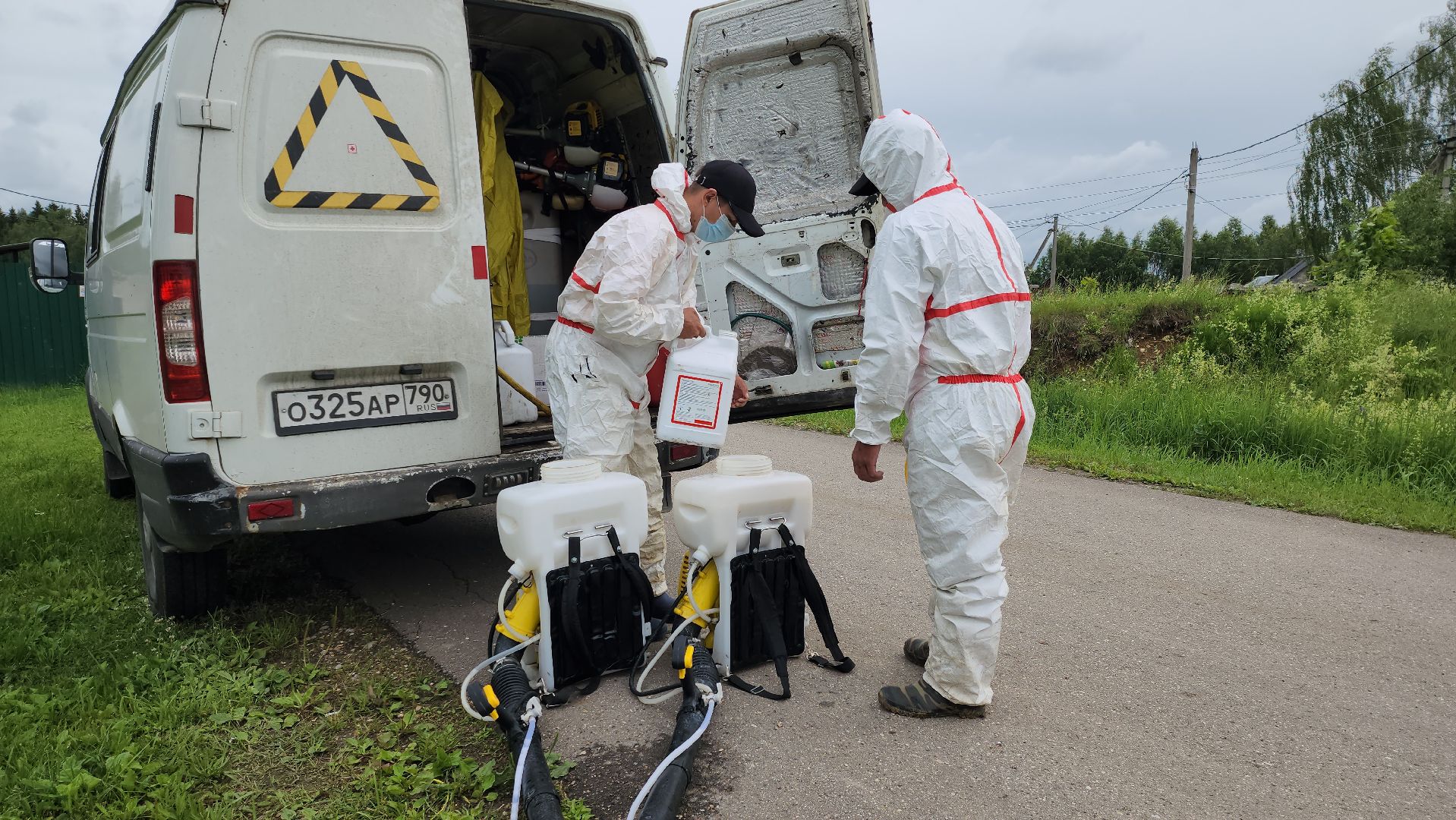 Руза, Барынино, борщевик сосновского,