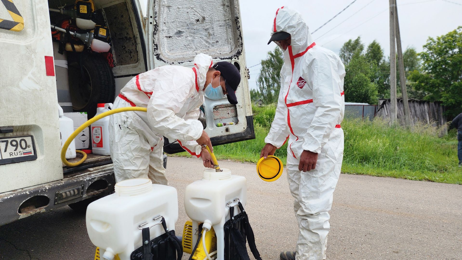 Руза, Барынино, борщевик сосновского,