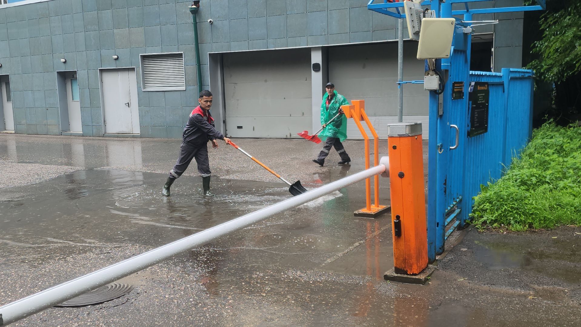 Химки , Благоустройство , Уборка улиц,