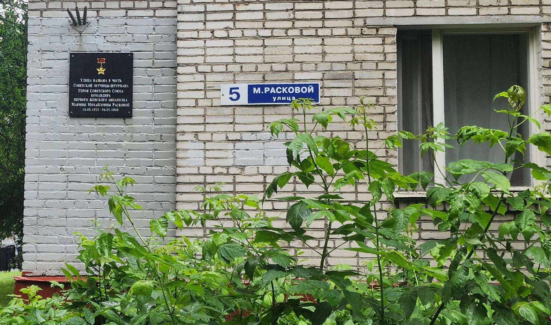 Химки , Благоустройство , Уборка улиц,