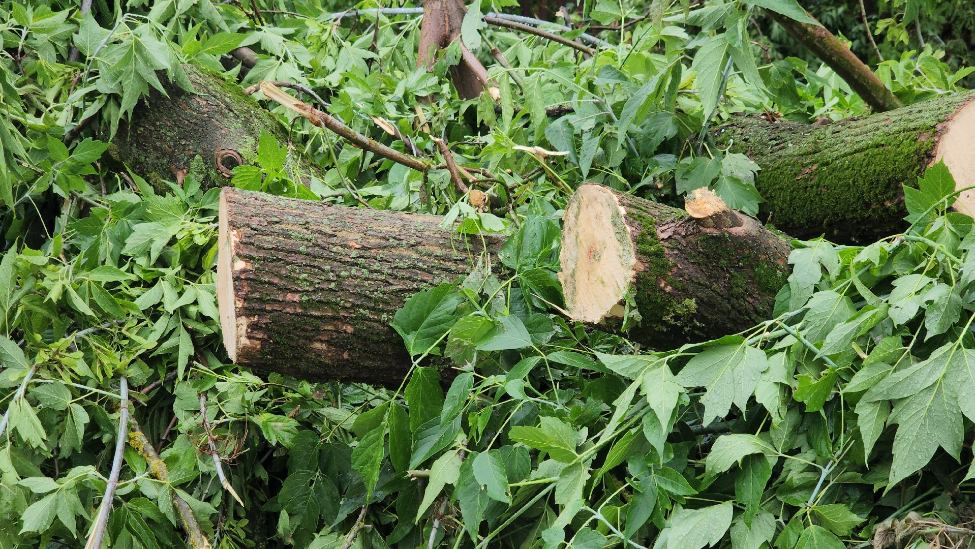 Благоустройство, Новая пешеходная зона, щёлково,