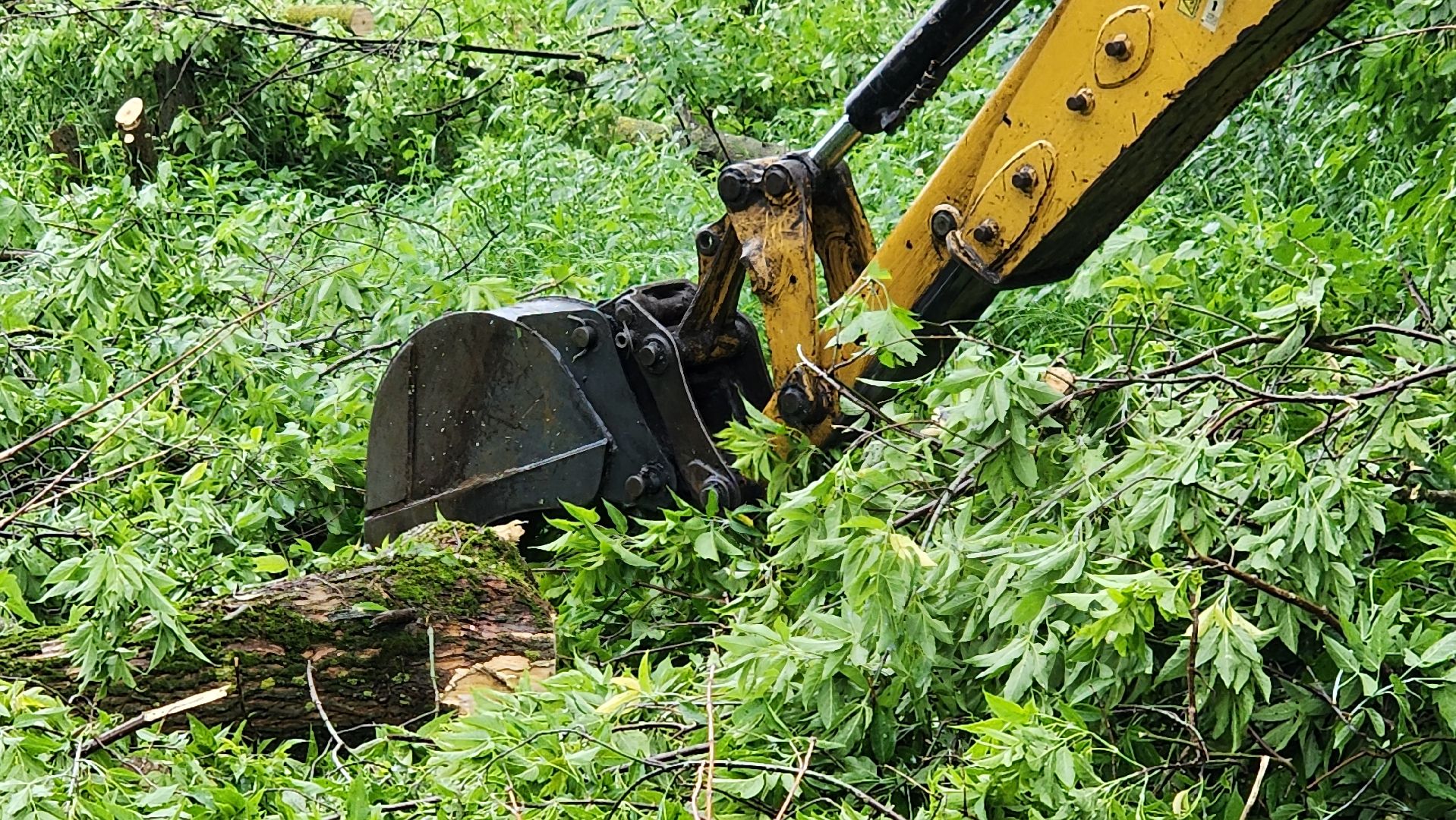 Благоустройство, Новая пешеходная зона, щёлково,