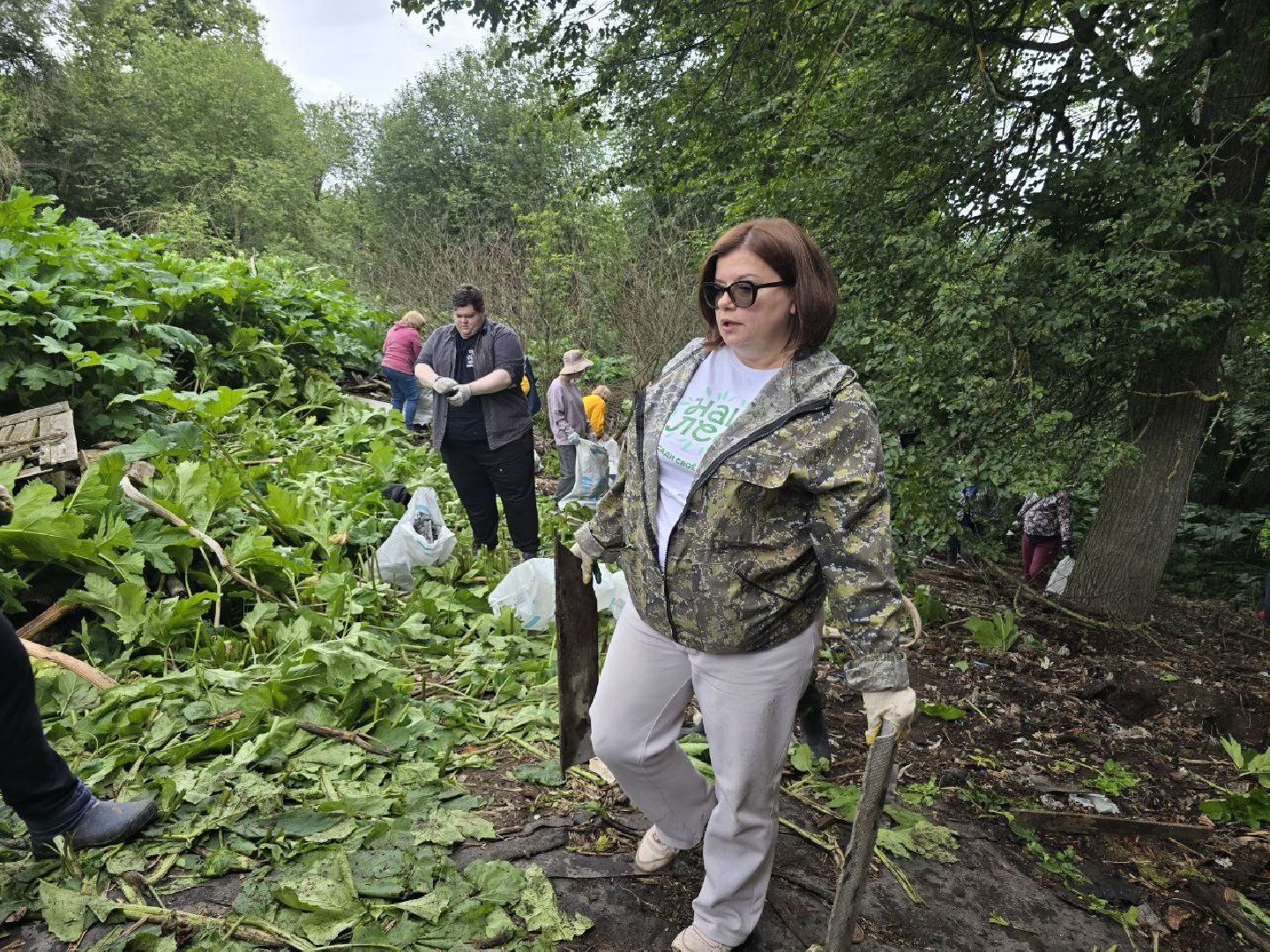 можайск, можайский муниципальный округ, подмосковье, субботник, акция, экологическая акция, чистый лес,