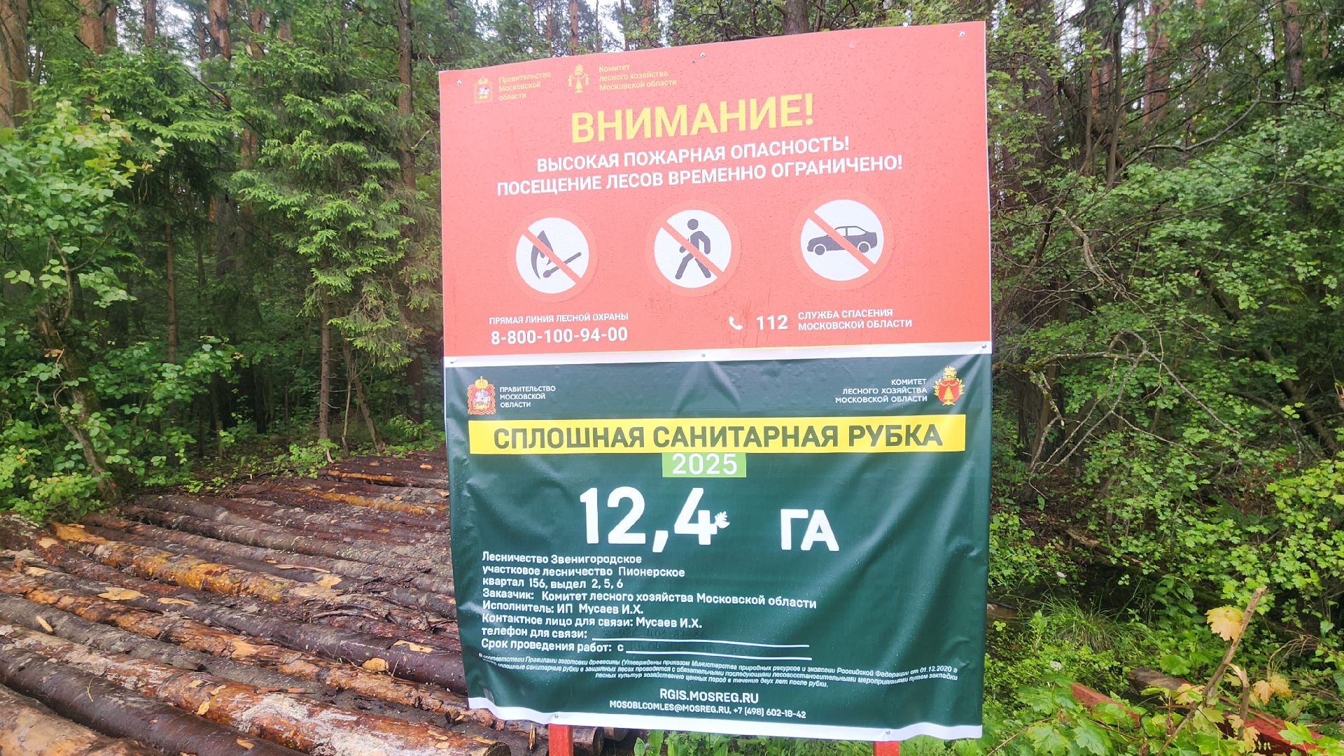 Экология, Здоровый лес, Санитарная рубка, Восстановление леса,