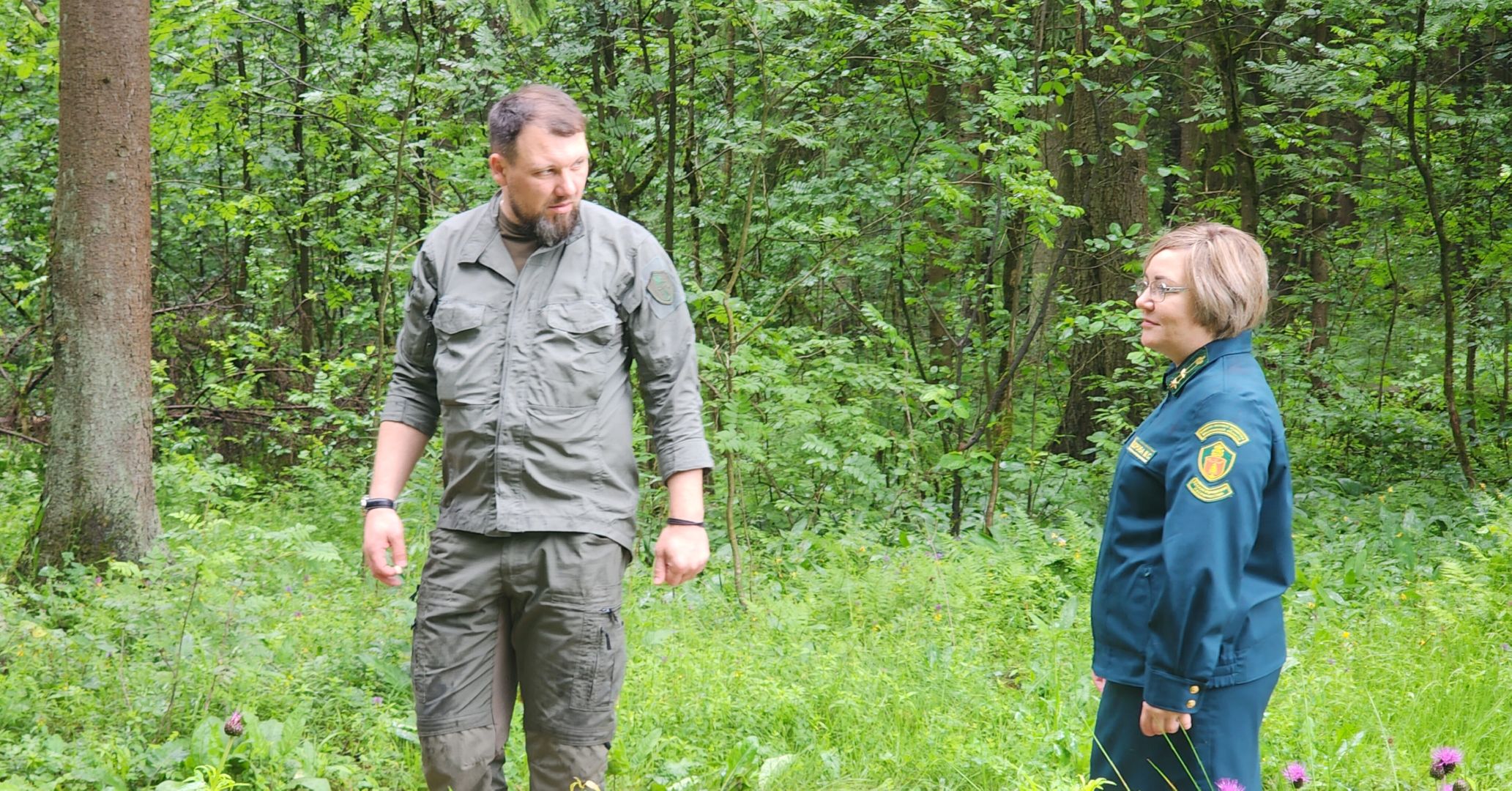 Экология, Здоровый лес, Санитарная рубка, Восстановление леса,