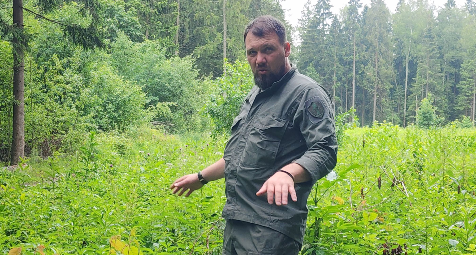 Экология, Здоровый лес, Санитарная рубка, Восстановление леса,