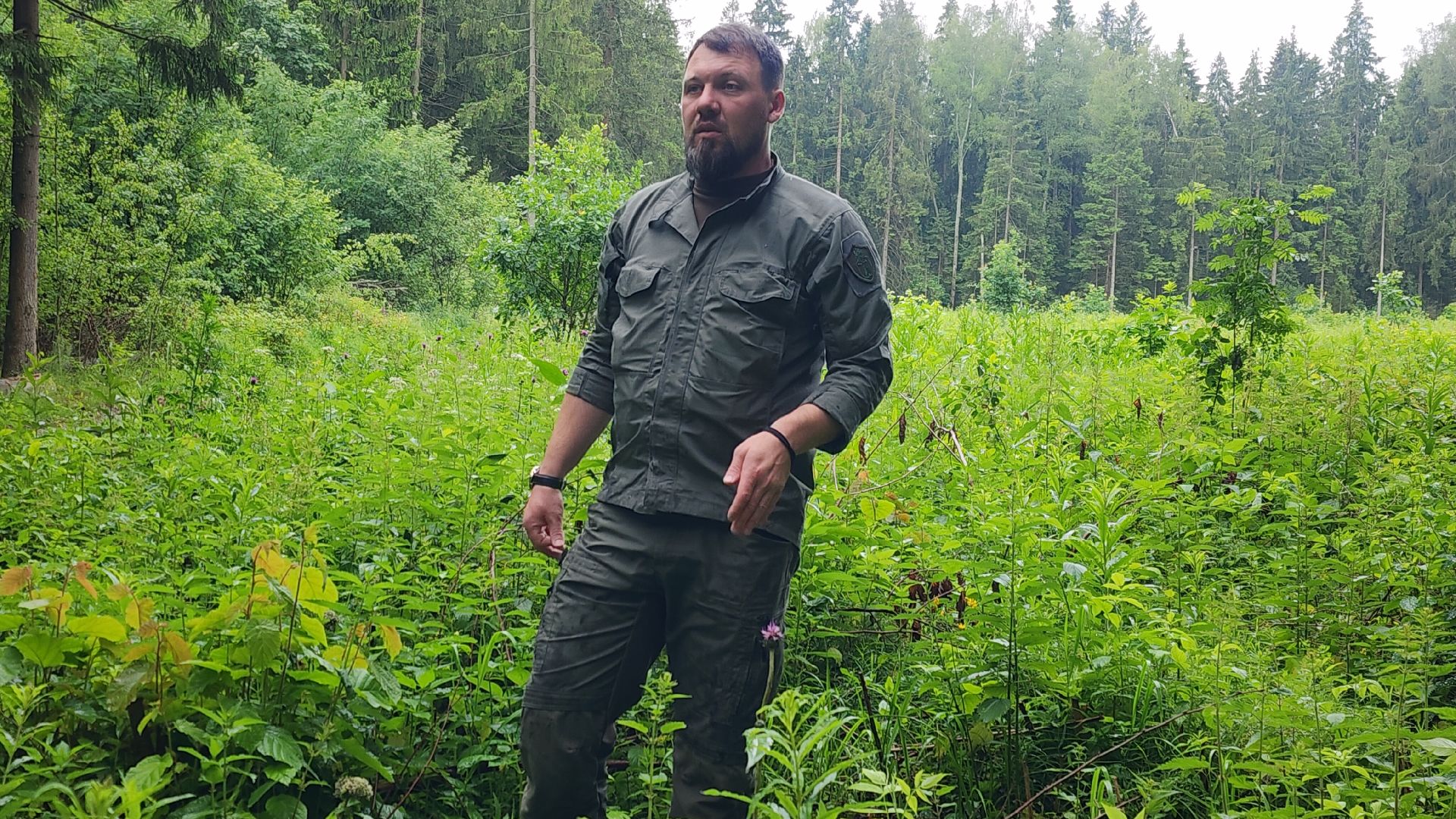 Экология, Здоровый лес, Санитарная рубка, Восстановление леса,