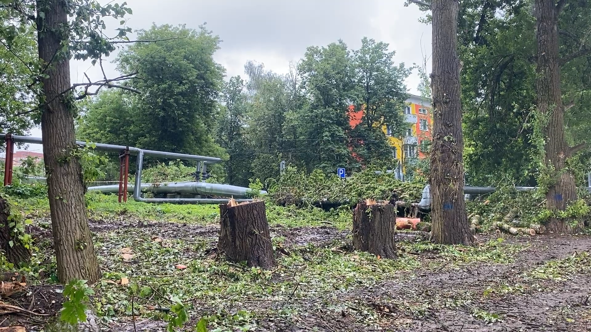 сети теплотрассы, власиха теплосеть, реконструкция сетей, цветной бульвар власиха, трубы горячего водоснабжения,