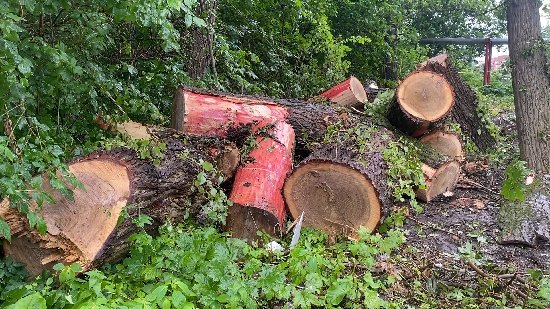 сети теплотрассы, власиха теплосеть, реконструкция сетей, цветной бульвар власиха, трубы горячего водоснабжения,