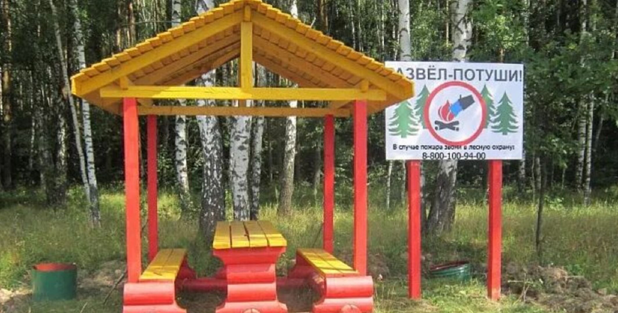 Экология , Места отдыха ,Звенигородское лесничество ,