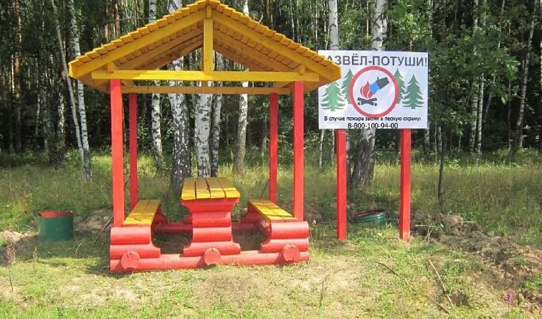 Экология , Места отдыха ,Звенигородское лесничество ,