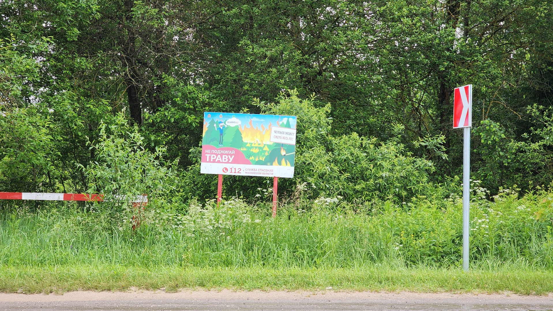 Экология , Места отдыха ,Звенигородское лесничество ,