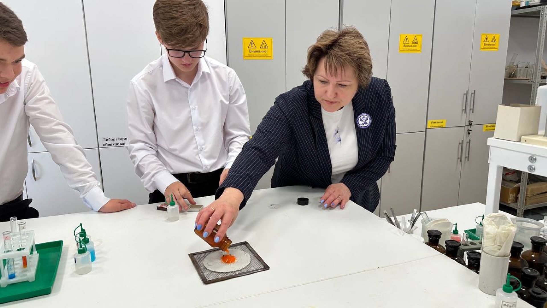 учитель, домодедово, егэ по химии,