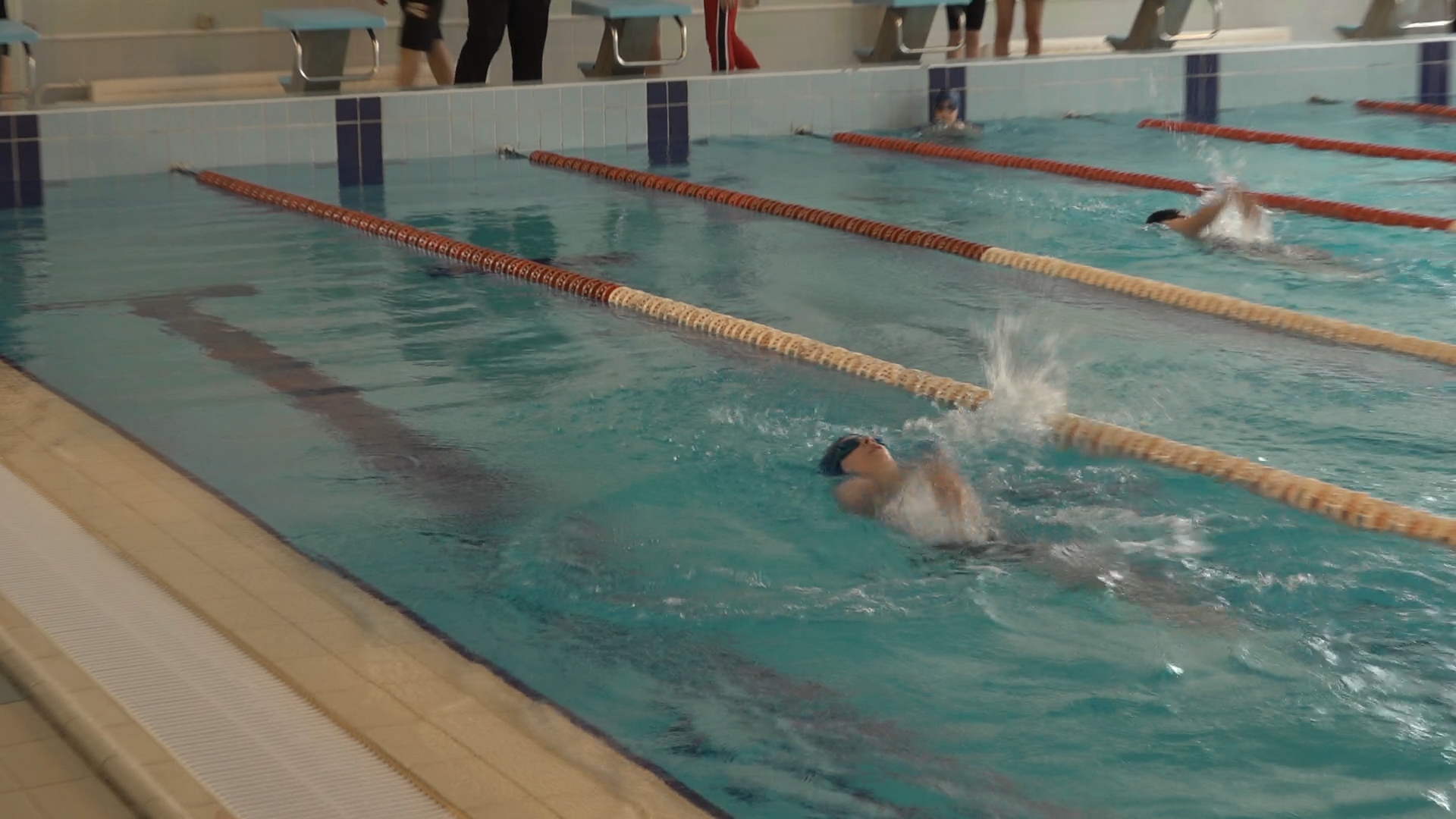 плавание, спортшкола власиха, школа перспектива, бассейн перспектива, занятия в бассейне, первенство по плаванию,