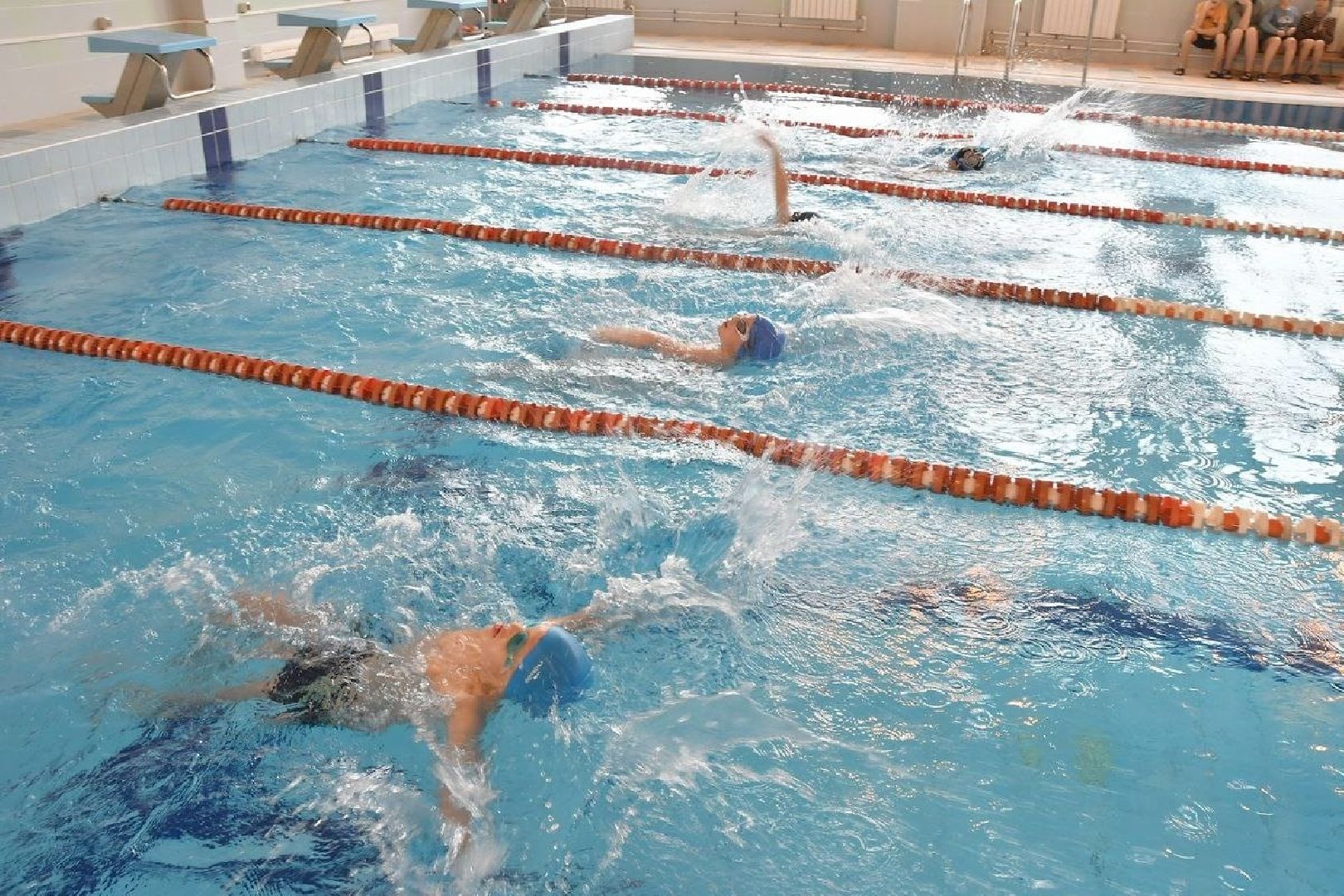 плавание, спортшкола власиха, школа перспектива, бассейн перспектива, занятия в бассейне, первенство по плаванию,