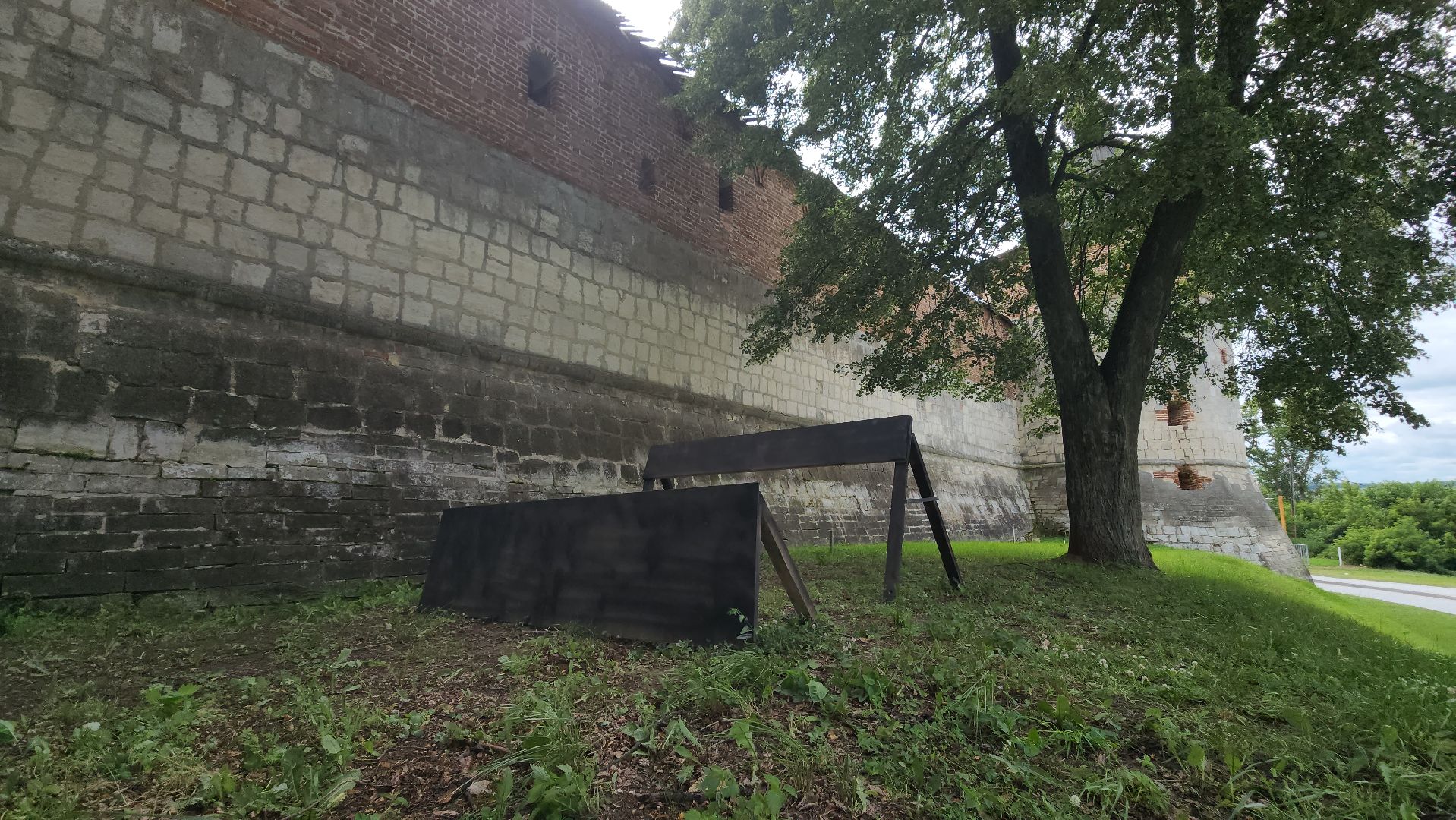 зарайск, Экстремальный забег, Зарайский бизон, ЗБ,