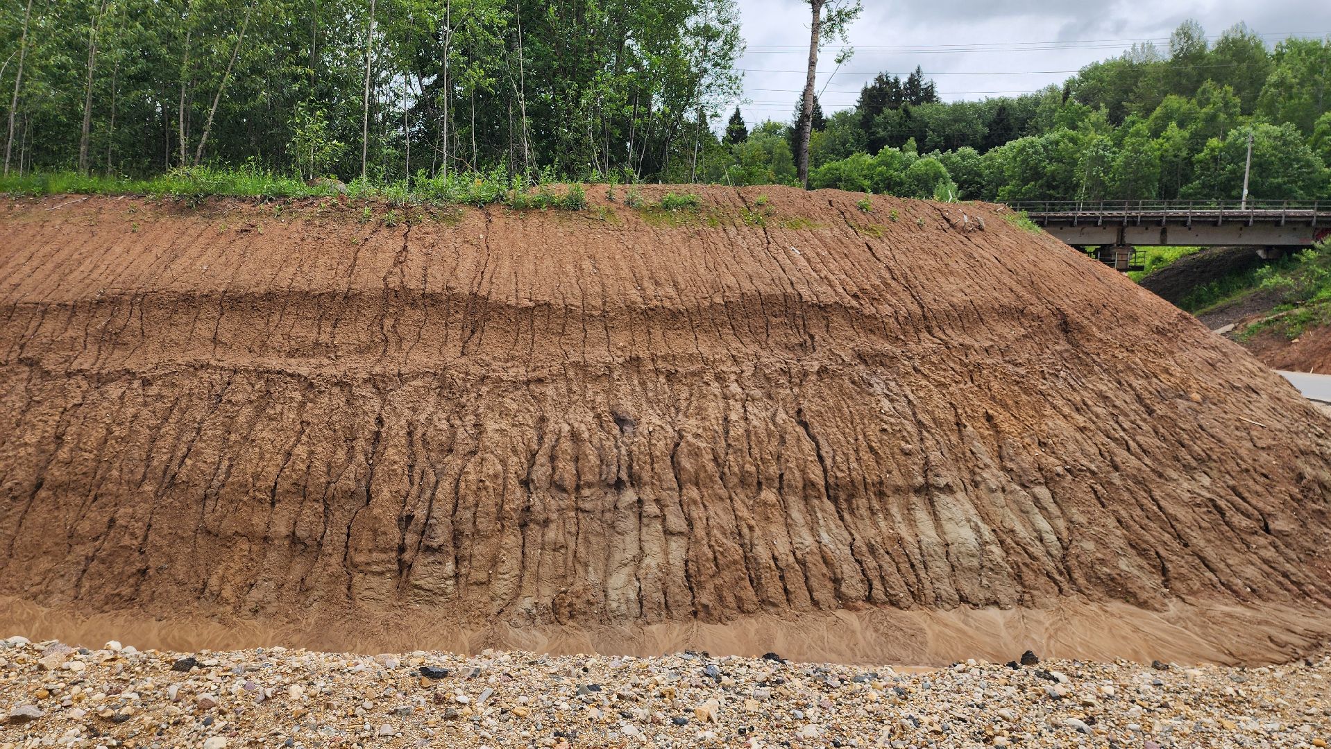 руза, строительство объездной дороги, объездная дорога в тучково, дороги подмосковья,